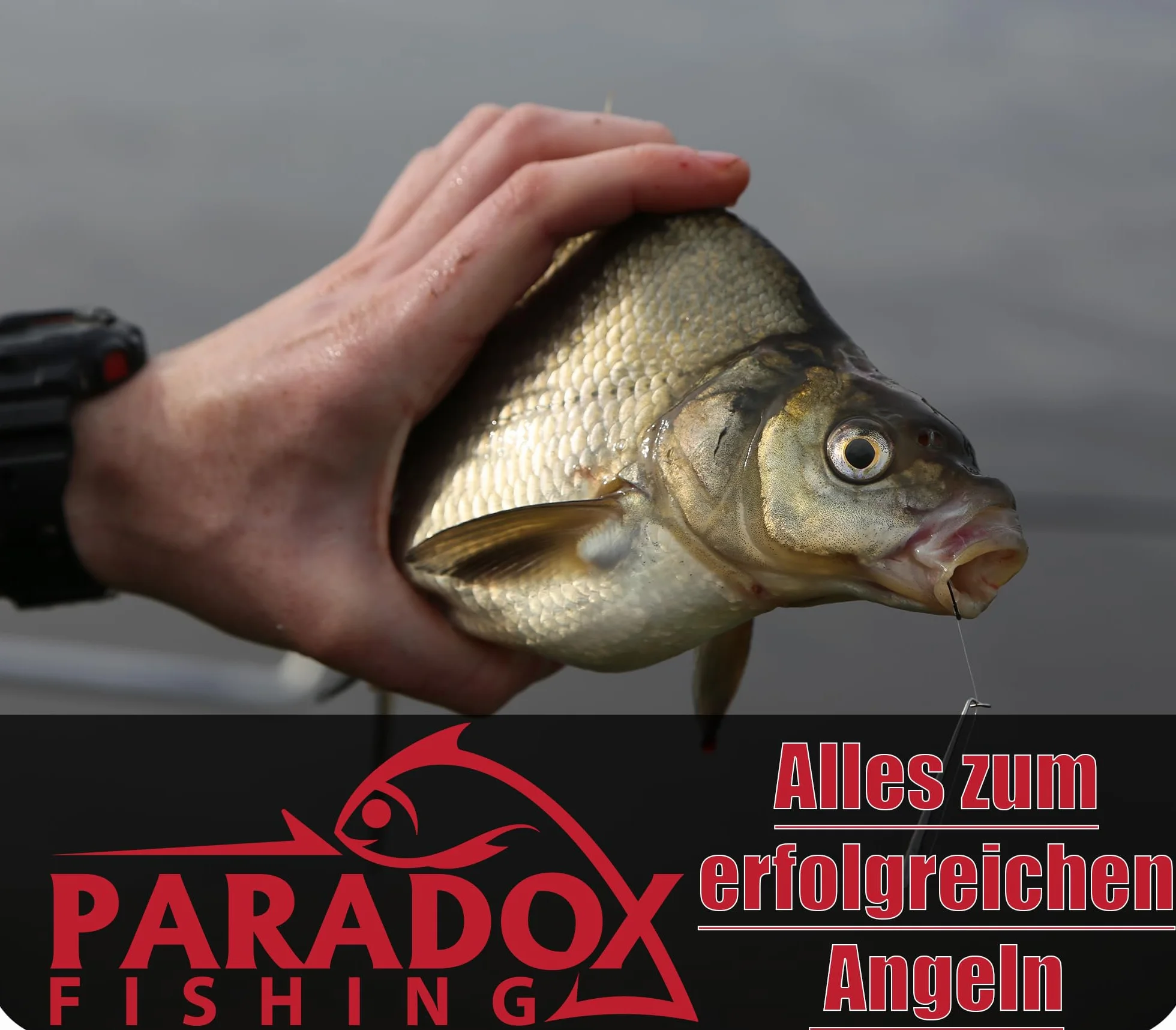 Paradox Fishing Bolsa para cañas de pescar 2/3 compartimentos 120 cm 130 cm 150 cm 160 cm 190 cm