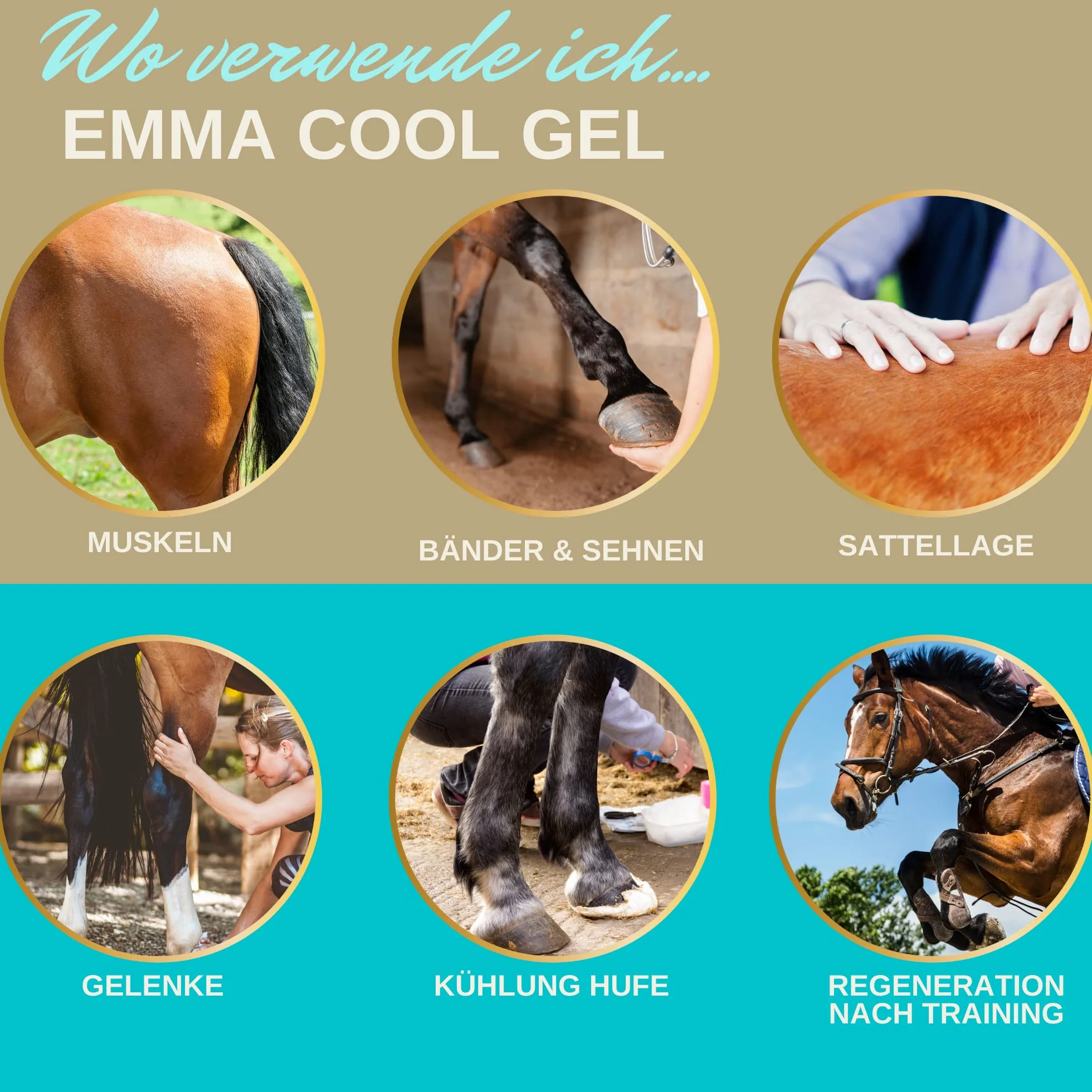 EMMA Bálsamo para Caballos 1000ml Gel Refrescante con Pomada de Árnica Gel Extra Fuerte I Tendones, Ligamentos y Músculos I Pomada Refrescante I Pomada con Gel Crema de Árnica Masaje para Músculos