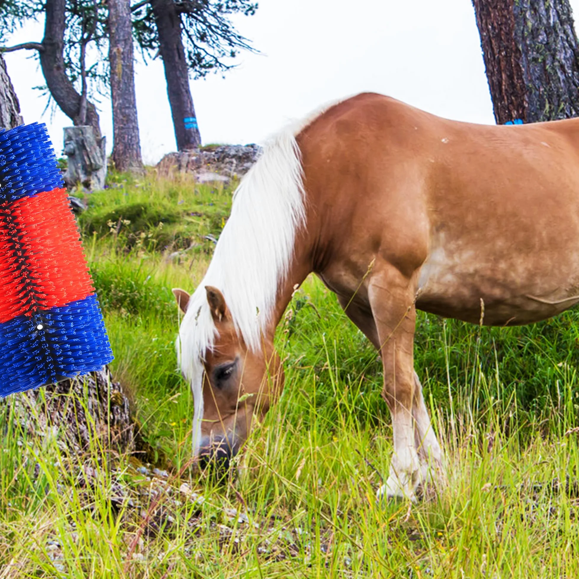 4 cepillos para rascar ganado, herramienta antipicazón para ganado, cepillos de caballo, alivia la picazón de espalda en el ganado, adecuado para caballo, ganado, cerdo, oveja (rojo)
