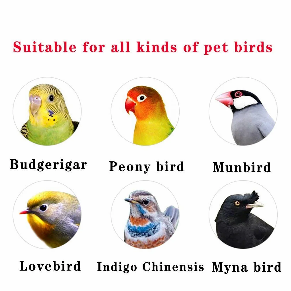 Jaula Metálica Grande para Pájaros, Jaula para Cría De Palomas, con Separadores, Bandeja, Bebedero, Jaula De Hierro para Periquitos Y Loros, Metálica
