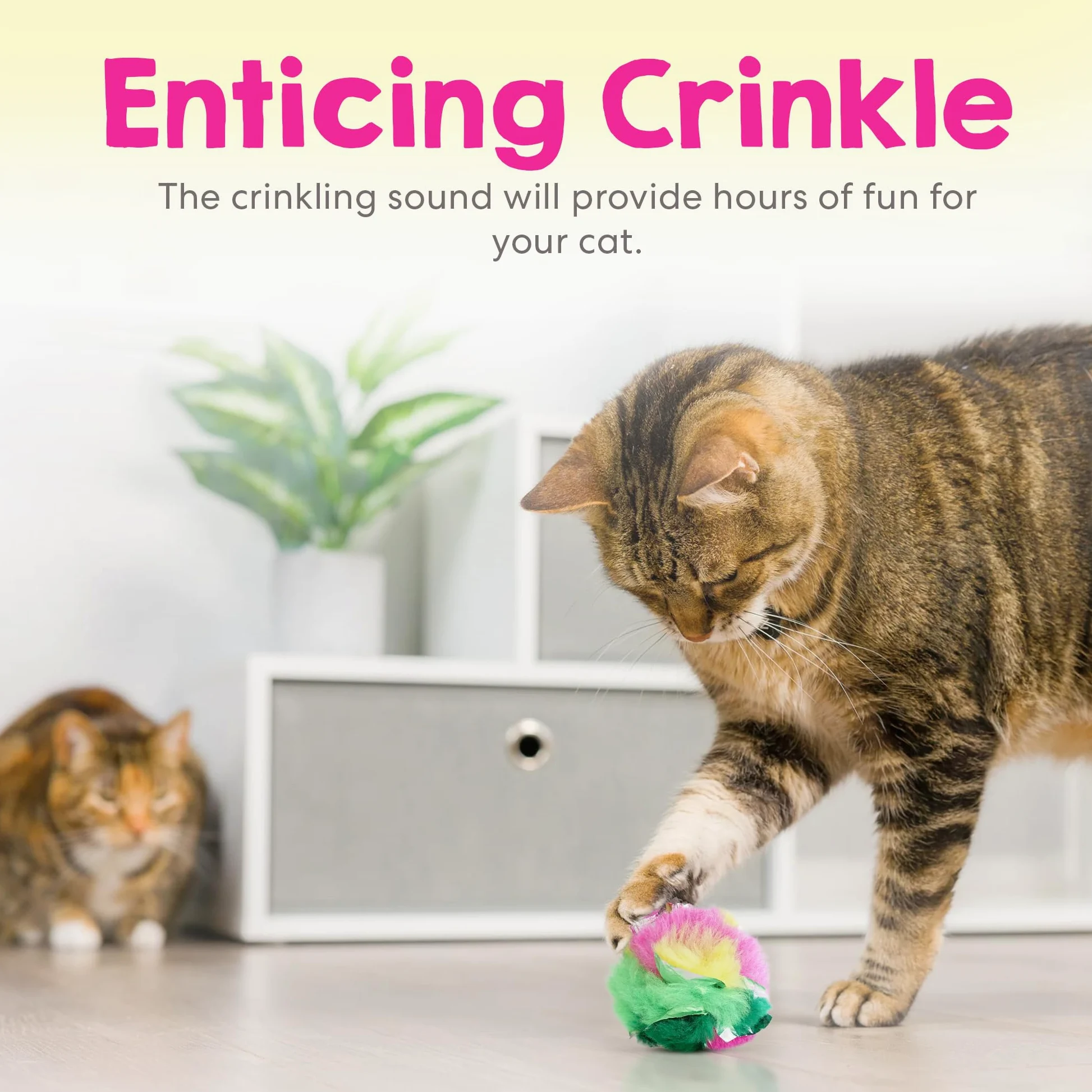 cancor innovaciones Crinkle Ball Cat Toy