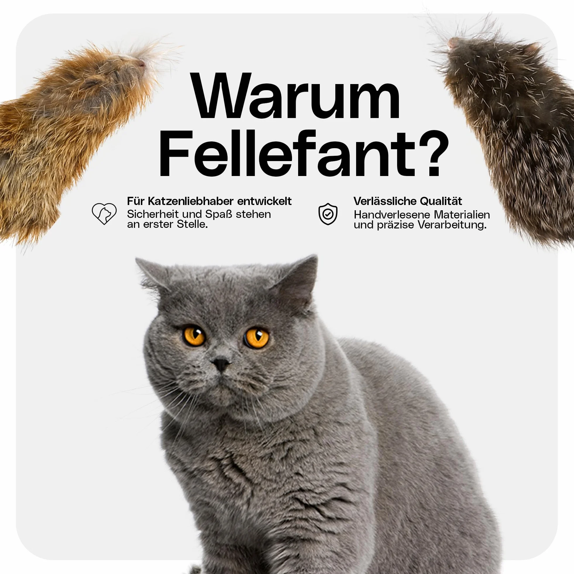 Juguete para gatos de auténtica piel de conejo – Juego de 2 – perfecto para vivir el instinto de caza y diversión – sin ojos de plástico