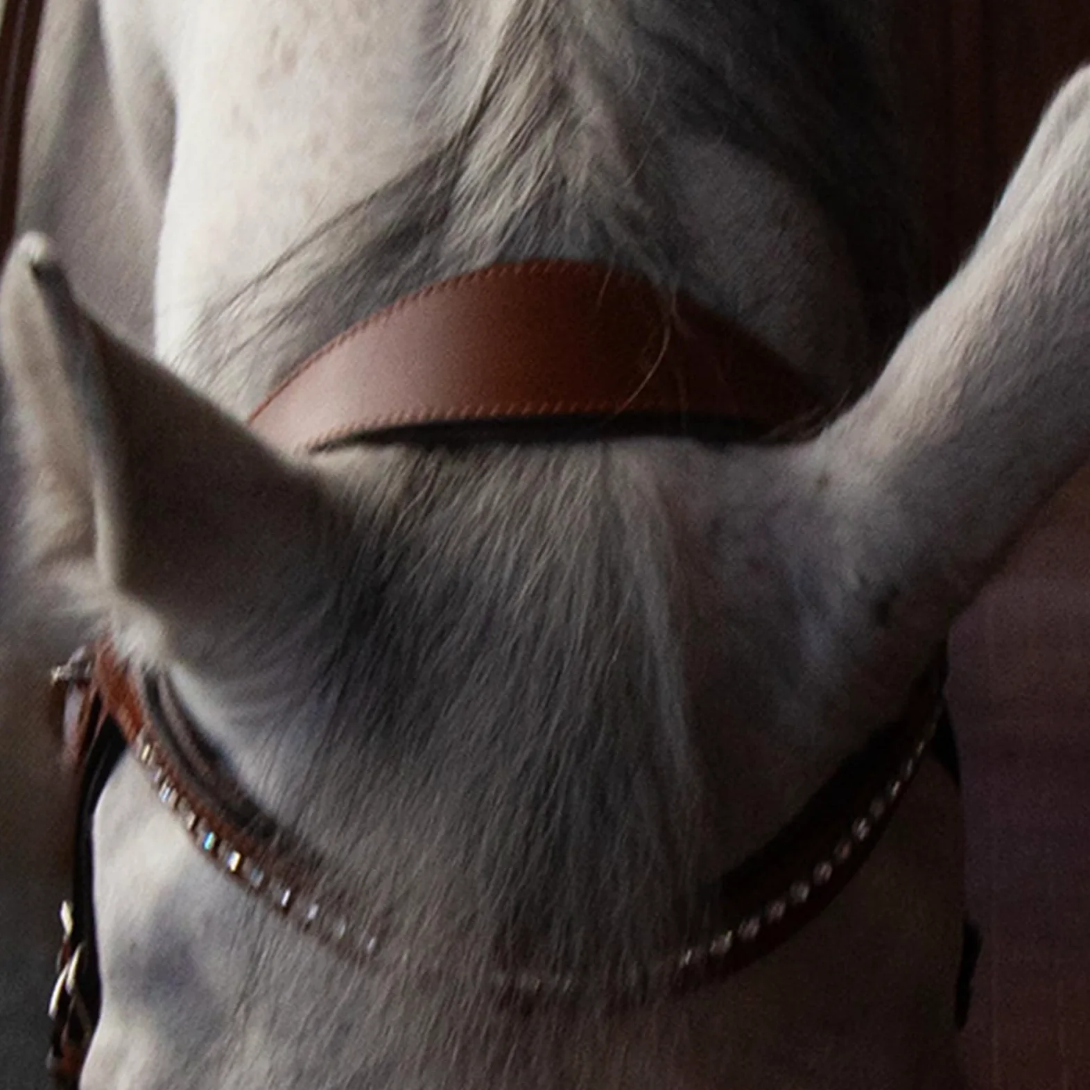 Cabestro de caballo y cuerda de plomo, material de cuero vacuno con diamantes de imitación para uso ecuestre