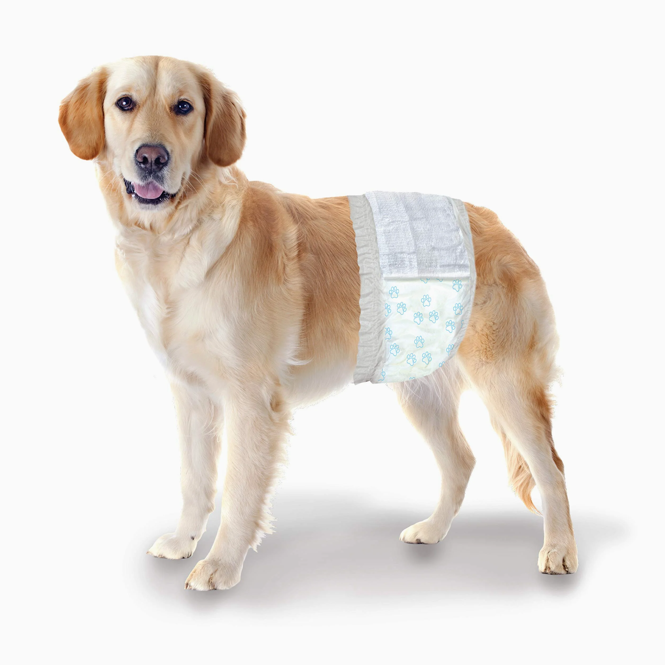 Four Paws Wee-Wee - Envolturas Desechables para Perros machos medianos/Grandes (12 Unidades)