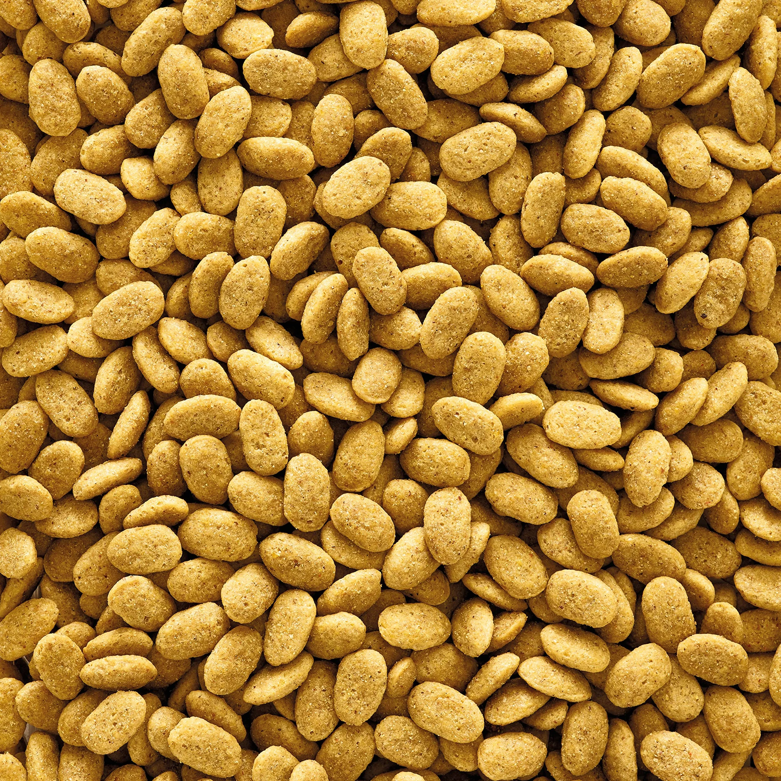 VERSELE-LAGA - NutriBird P15 Original - Granulado extrusionado - Alimento de Mantenimiento para Loros - Monocolor - 10kg