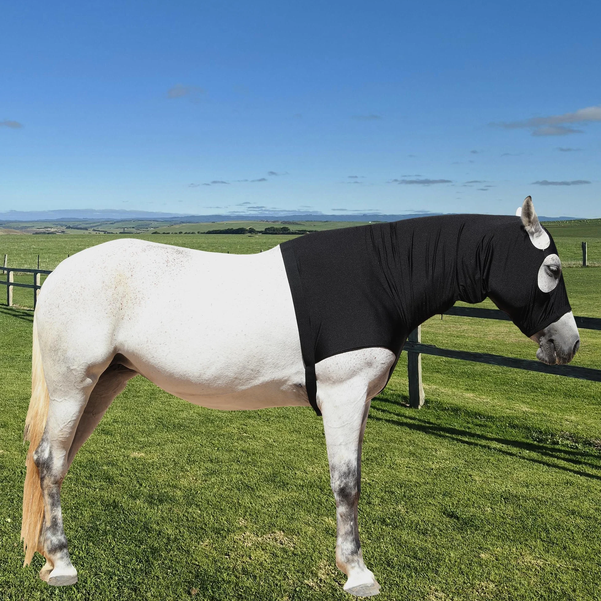 Leberna Capucha Lycra con Cremallera para Caballo XL Negro