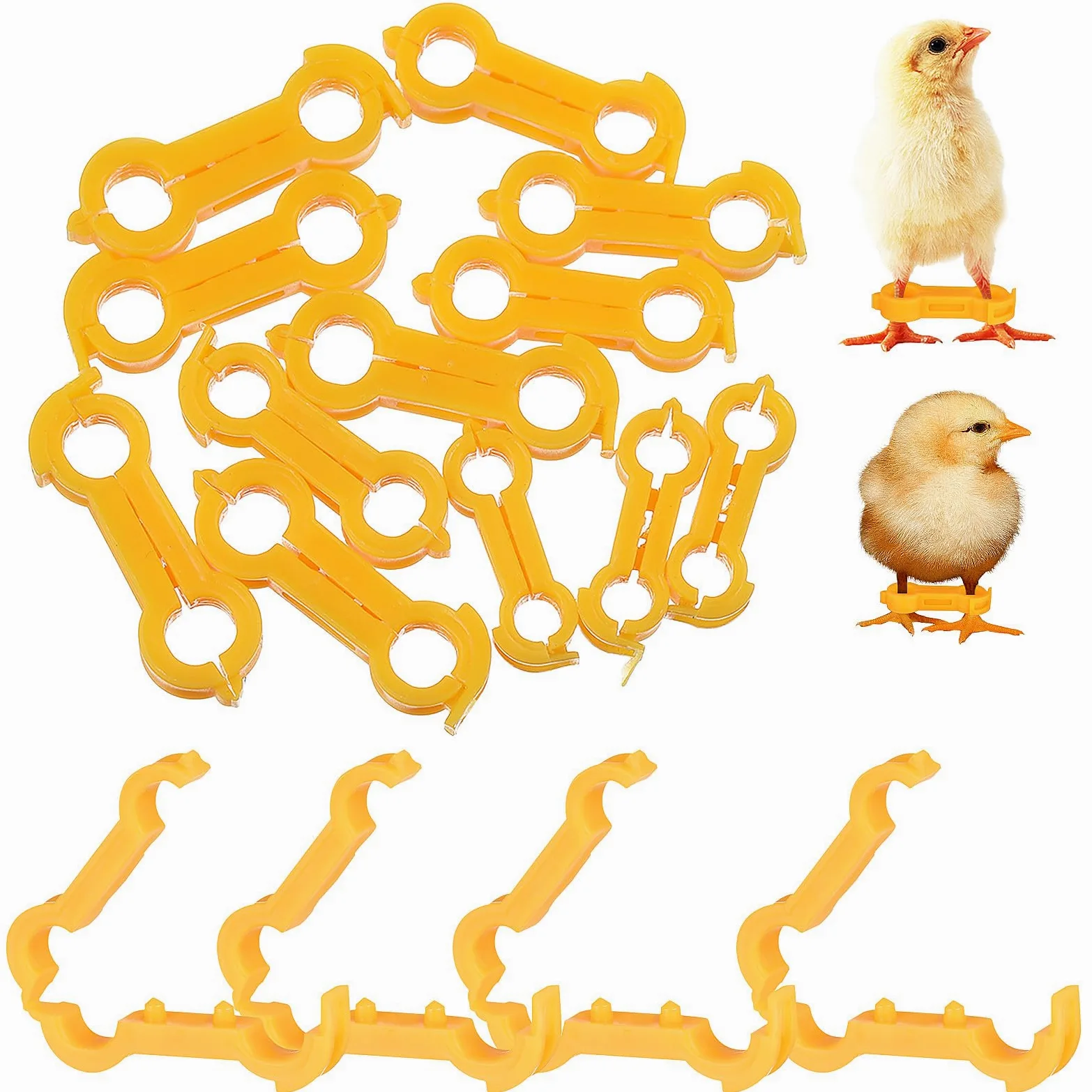 TEHAUX Bandas Correctoras para Patas de Pollitos y Aves, Anillos de PVC de Diferentes Tamaños, Sujeción Segura Crecimiento Saludable, Paquete de 12 Unidades Amarillas