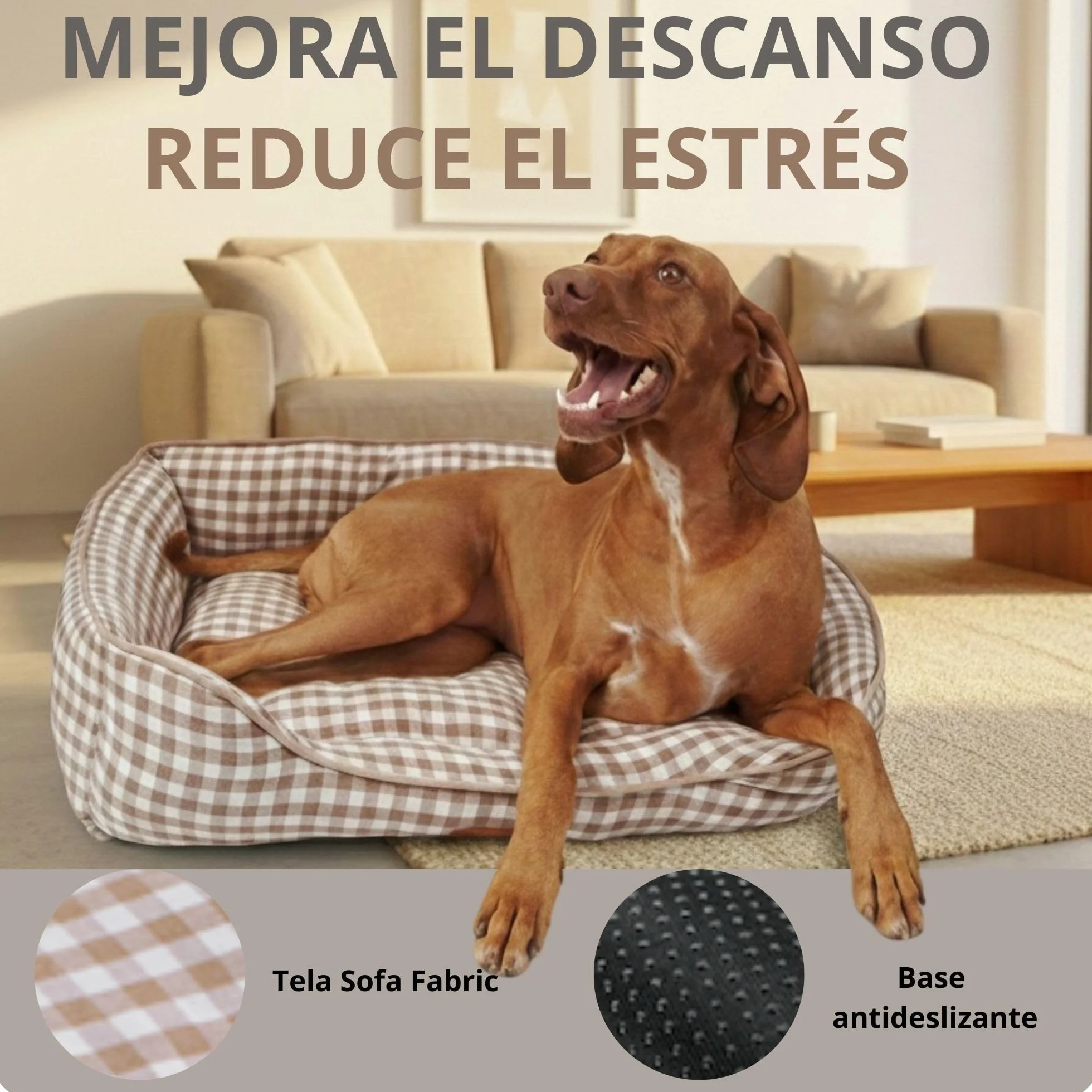 PESK Cama Perro Pequeño 57x47x15cm con Hueso de Juguete, Acolchada Relleno de Fibras, Cama Perros Medianos Lavable, Resistente Mordeduras, Camas Perros Medianos Antideslizante, Dog Bed (Beige Talla S)