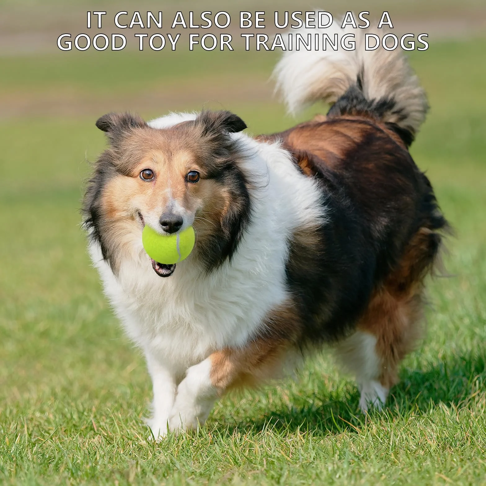 SHYUJAJIE 20 Pelotas de Tenis de Entrenamiento, Alta Elasticidad para Principiantes, Perros y Mascotas