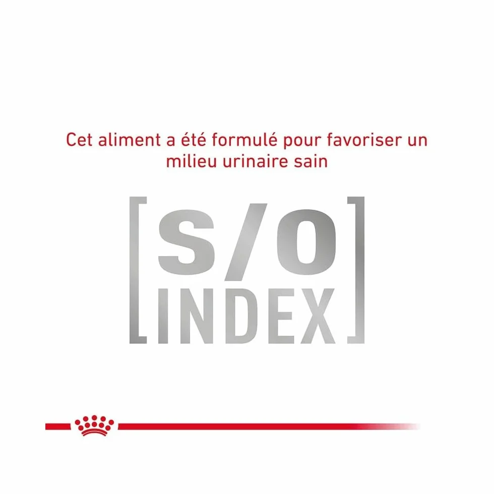 Royal Canin Gastro Intestinal Fibre Response | 12 x 85 g | Alimento dietético Completo para Gatos Adultos | para Gatos con estreñimiento crónico o Problemas gastrointestinales similares