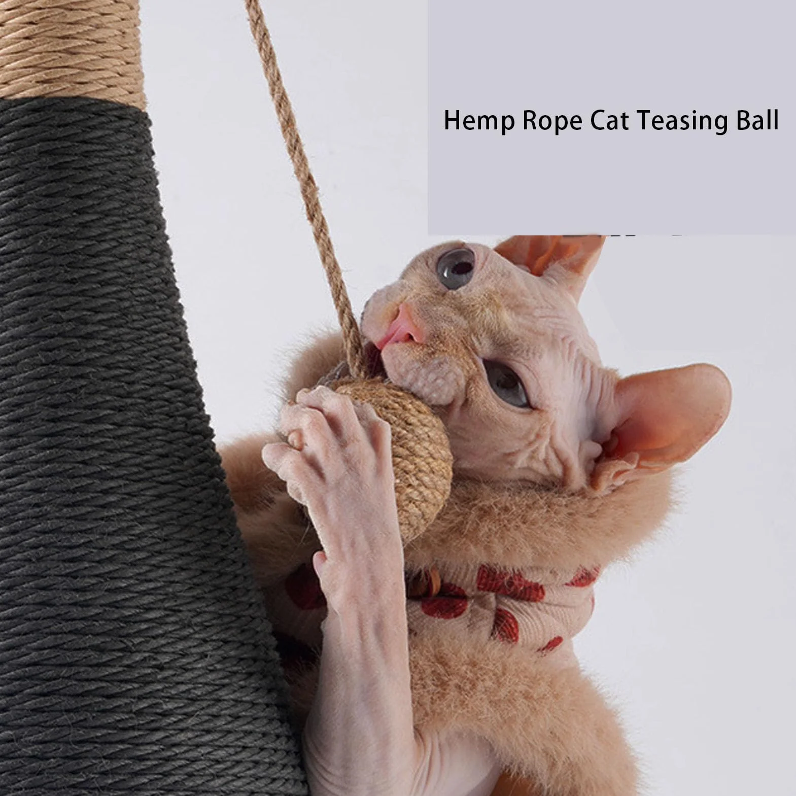 Jiawu Poste Rascador para Botella de Vino para Gatos, Juguete Multifuncional Resistente para Gatos juguetones. Tablero Rascador Plano de Material de Tablero de Densidad y Cuerda de cáñamo. Ideal