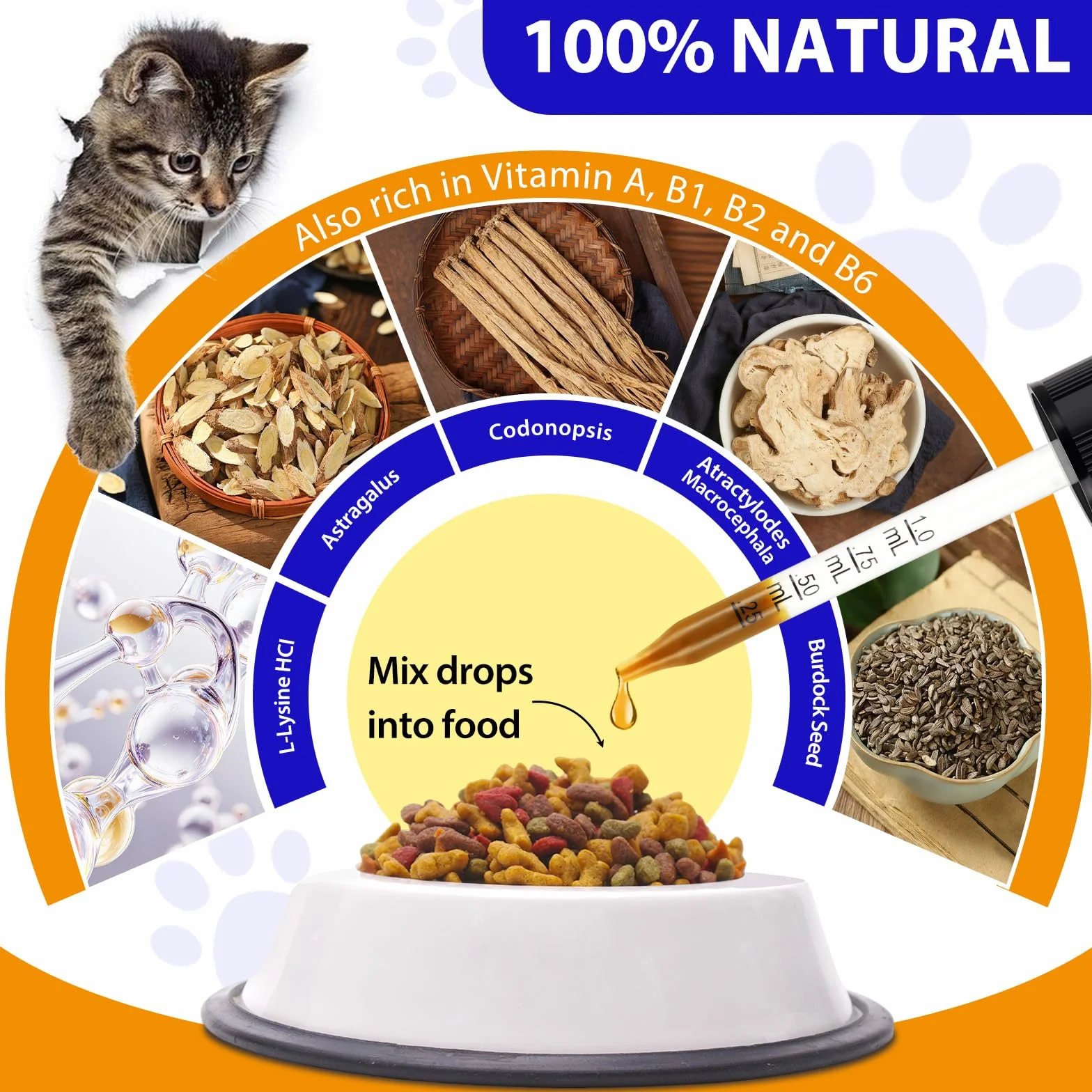 L-Lisina para Gatos, 60ML Lisina Gatos Aliviar Alergias en Gatitos, Estornudos, Gripe Felina, Antibióticos para Gatitos con Vitaminas y Minerales