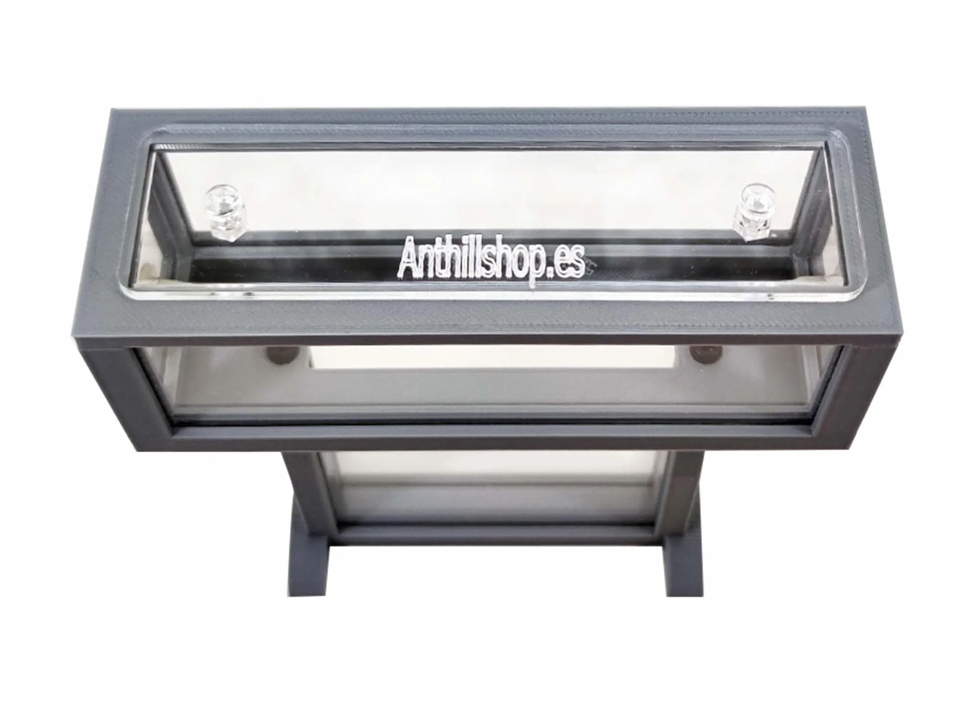 Hormiguero Kit- T- Mini de Arena Natural 15x5x16 - Hormigas Gratis Incluidas┃de 20-30 Hormigas