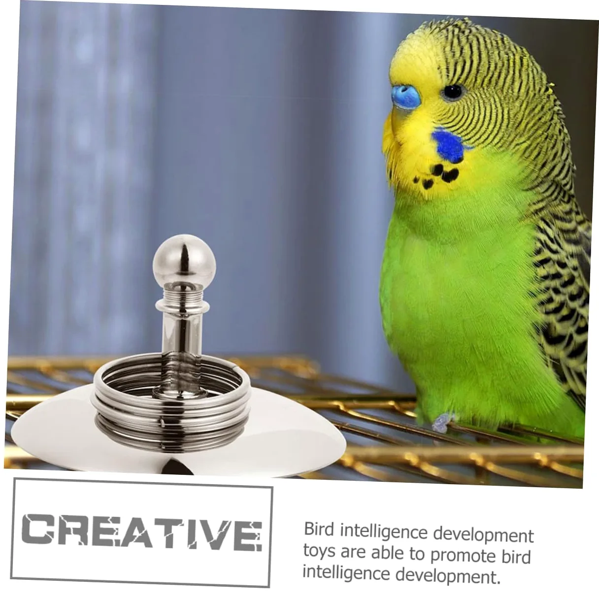 BESPORTBLE 4juegos Juguete De Entrenamiento para Loros Bicicleta y Anillos De Inteligencia Juguete Educativo para Aves Interacción y Actividad Física para Ninfas y Agapornis