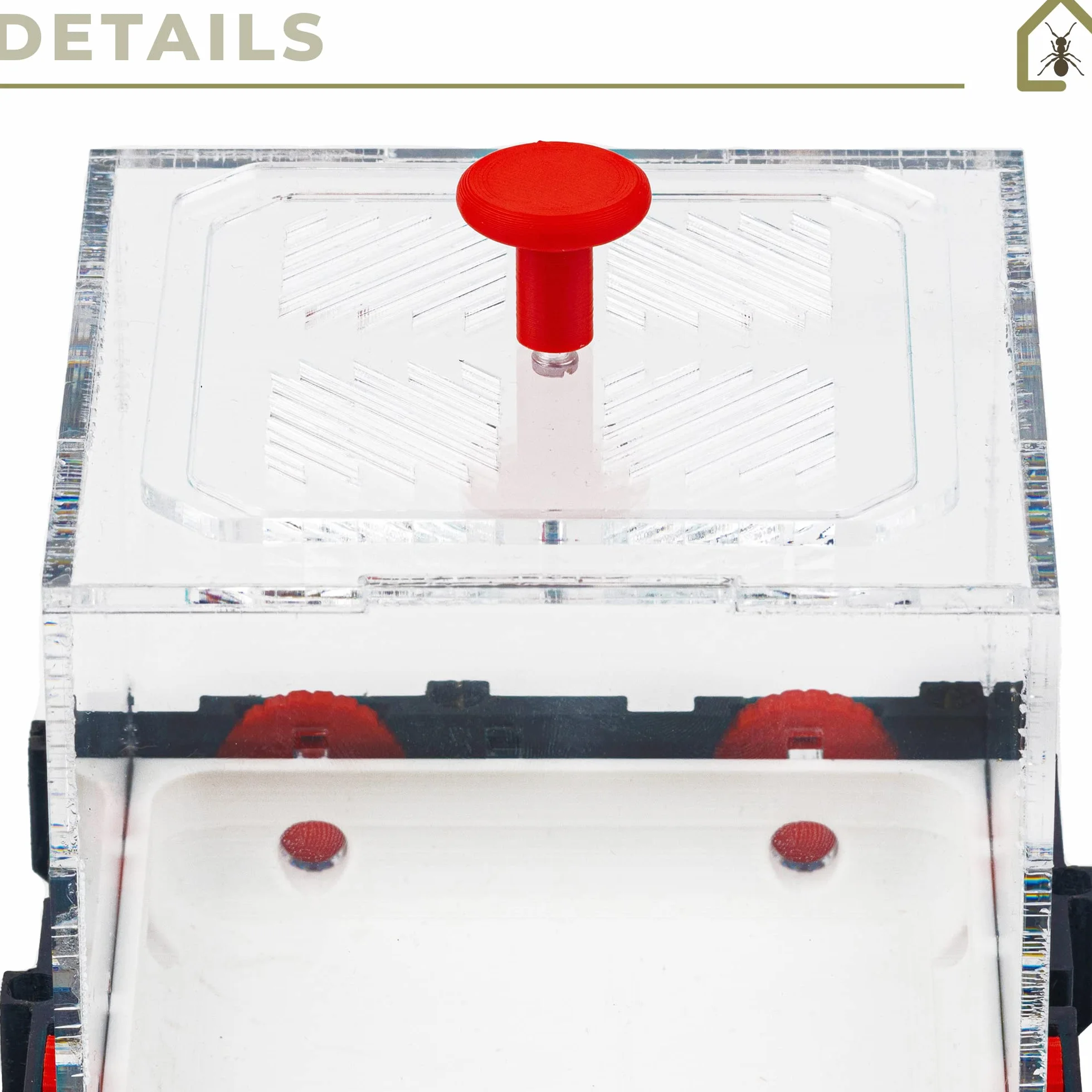 Anthouse.es - Caja de Forrajeo para Hormigueros Modulares 3D - QBIK Quadra - Terrario Colonias de Hormigas Jóvenes - Sistema Ergonómico y Fácil de Ampliar -12,78x12,78x12,70 cm