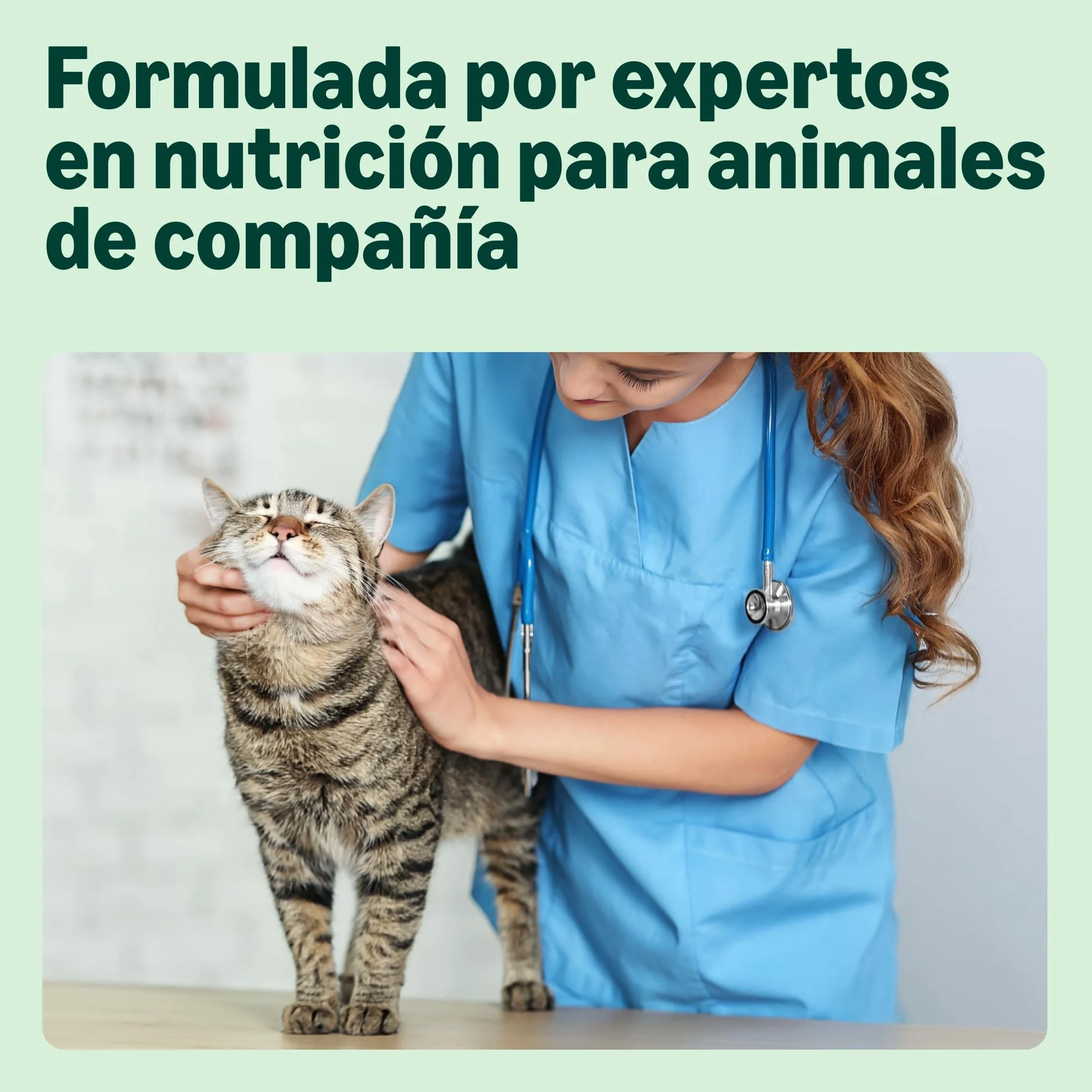 by Amazon Alimento seco para gatos adultos esterilizados con pollo fresco, receta sin cereales, 3 kg (Paquete de 1) (Anteriormente una marca Lifelong, el mismo producto)