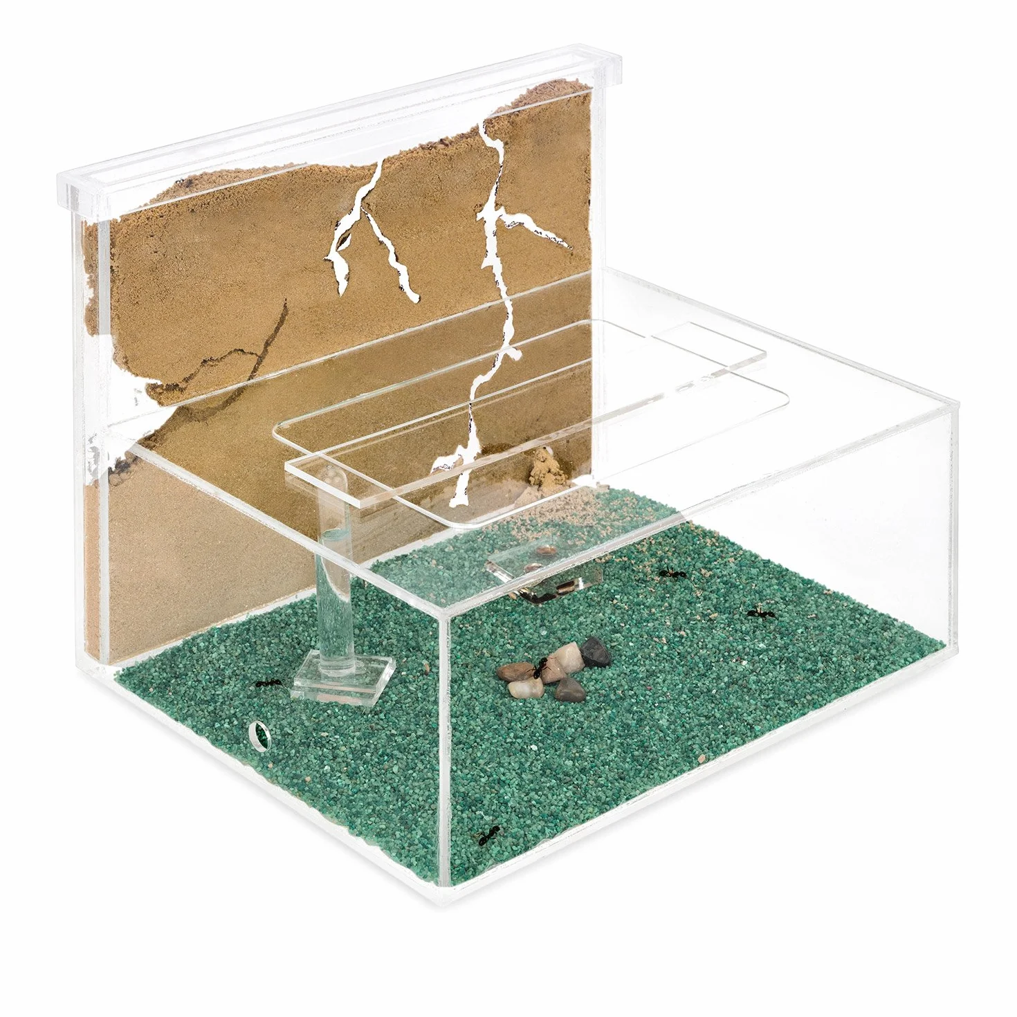 Anthouse.es - Hormiguero Natural de Arena - Kit Hormiguero Acrílico L (Sándwich + Caja de Forrajeo) - Granja de Hormigas con Colonia de Hormigas Incluida - 25x20x1 cm y 10x24 x10 cm - Transparente