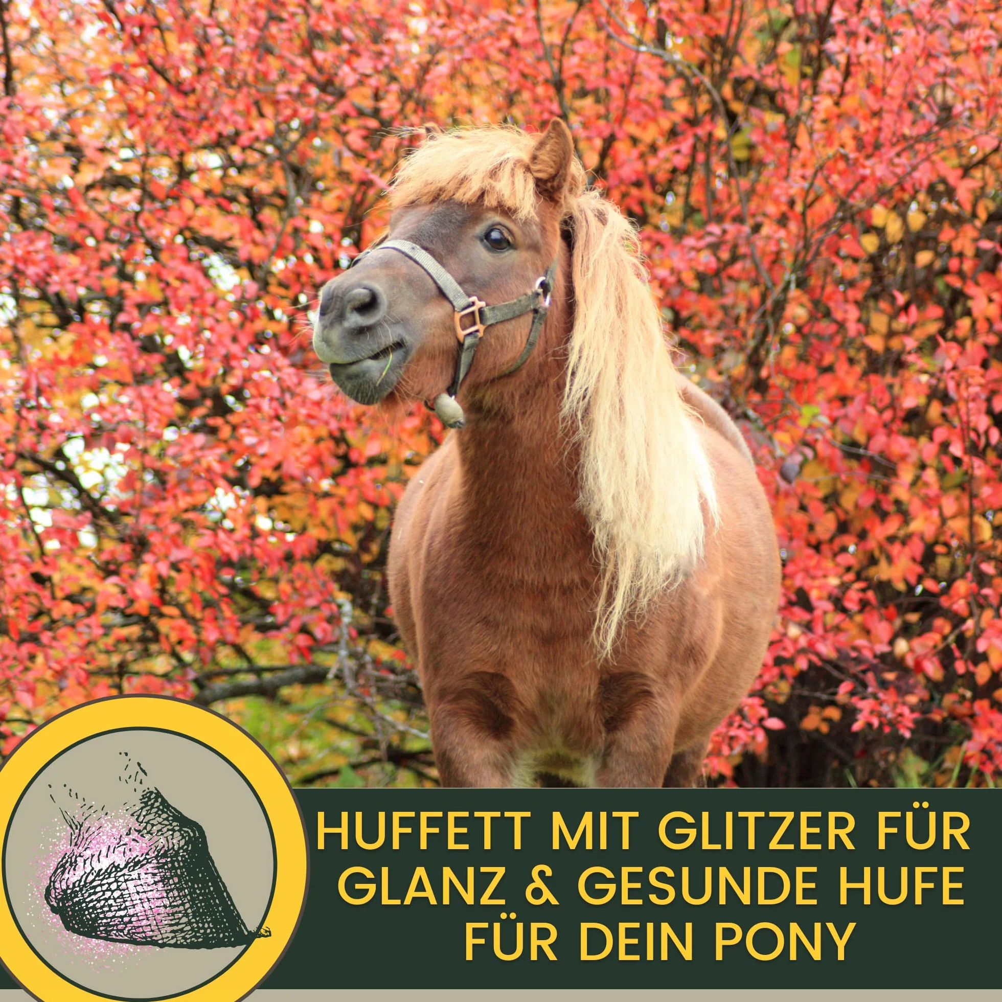 Grasa para cascos de caballos con brillo 2*500ml rosa con aceite de laurel I bálsamo para cascos de caballos I cura para cascos contra cascos secos I cuidado de cascos I ungüento de laurel caballo