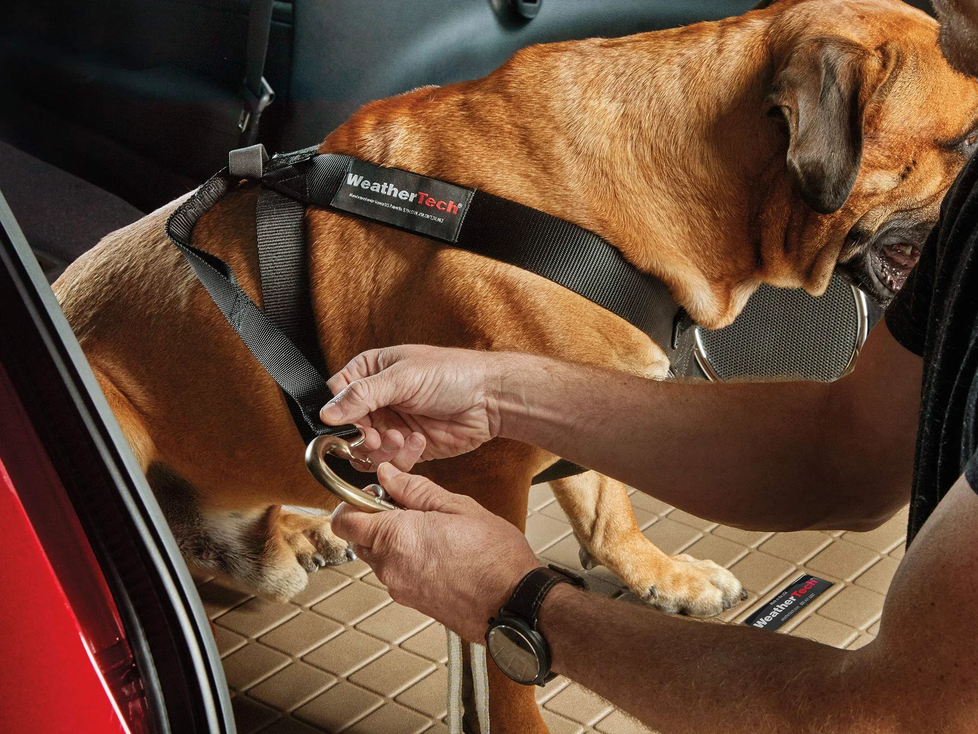WeatherTech Arnés de seguridad para mascotas, mantiene a tu mascota segura mientras estás en movimiento, color negro pequeño (84PH2427BK)