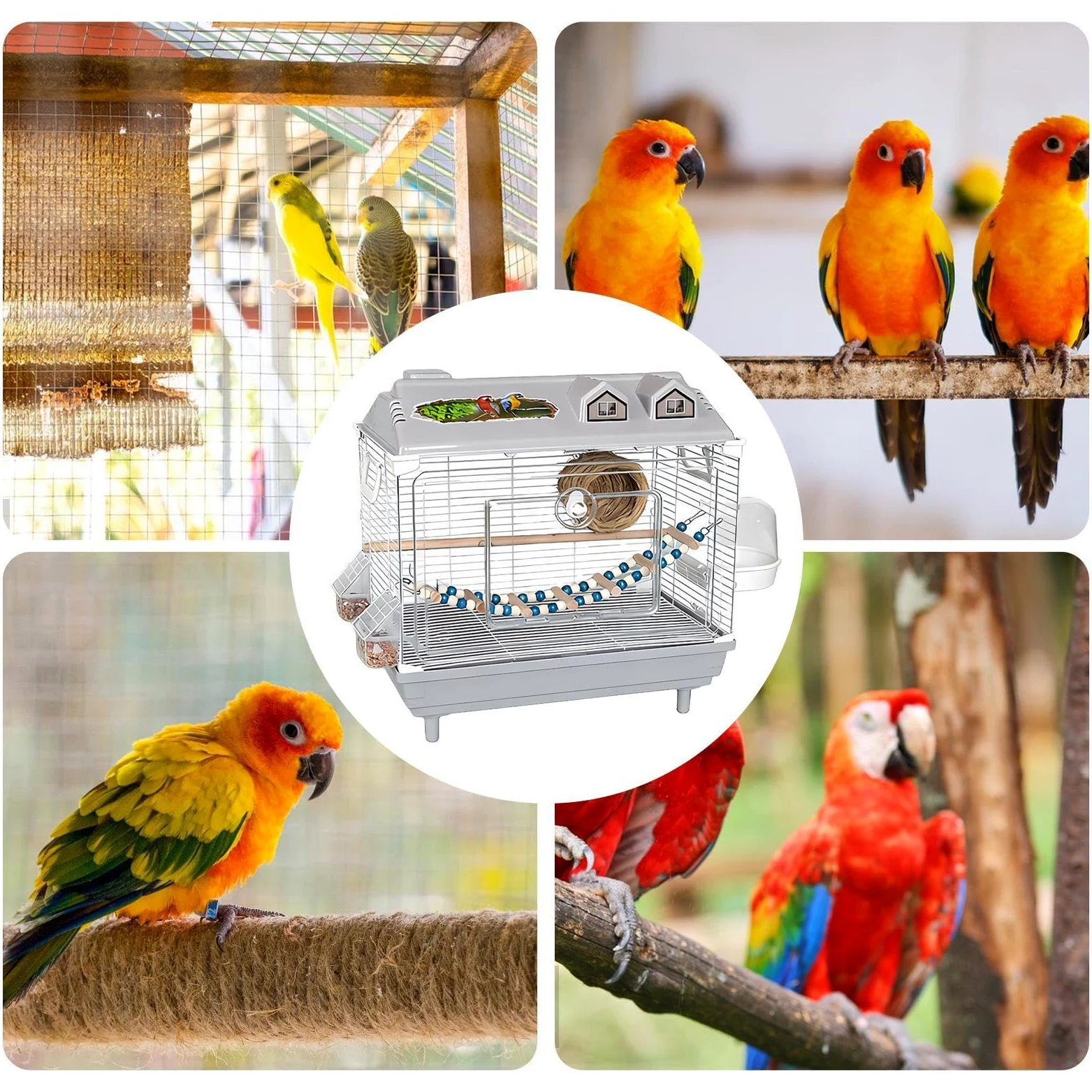 Jaulas para Pájaros y Aves de Compañía Transportín Transparente Portátil | Jaula para Periquitos con Percha de Madera Para Canarios, Agapornis, Guacamayos, Conuros, Cacatúas Y