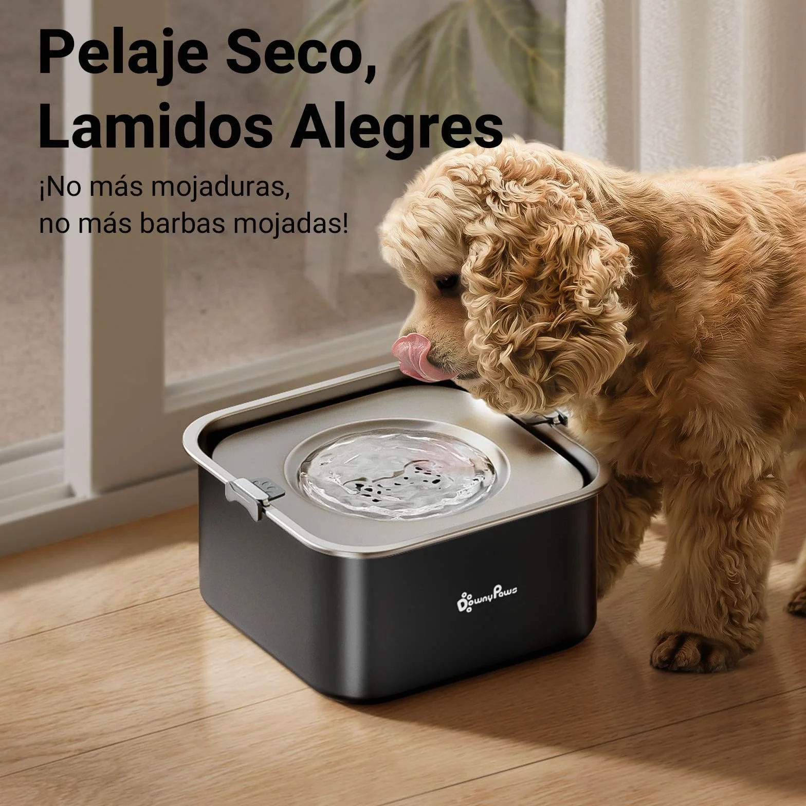 DownyPaws Bebedero Perro antigoteode Acero Inoxidable 3L, Bebedero Antigoteo Perro con Plato Flotante Sellado Integrado, Antipolvo y Antideslizante, Bebedero Perro Fomenta Beber Lentamente (Negro)