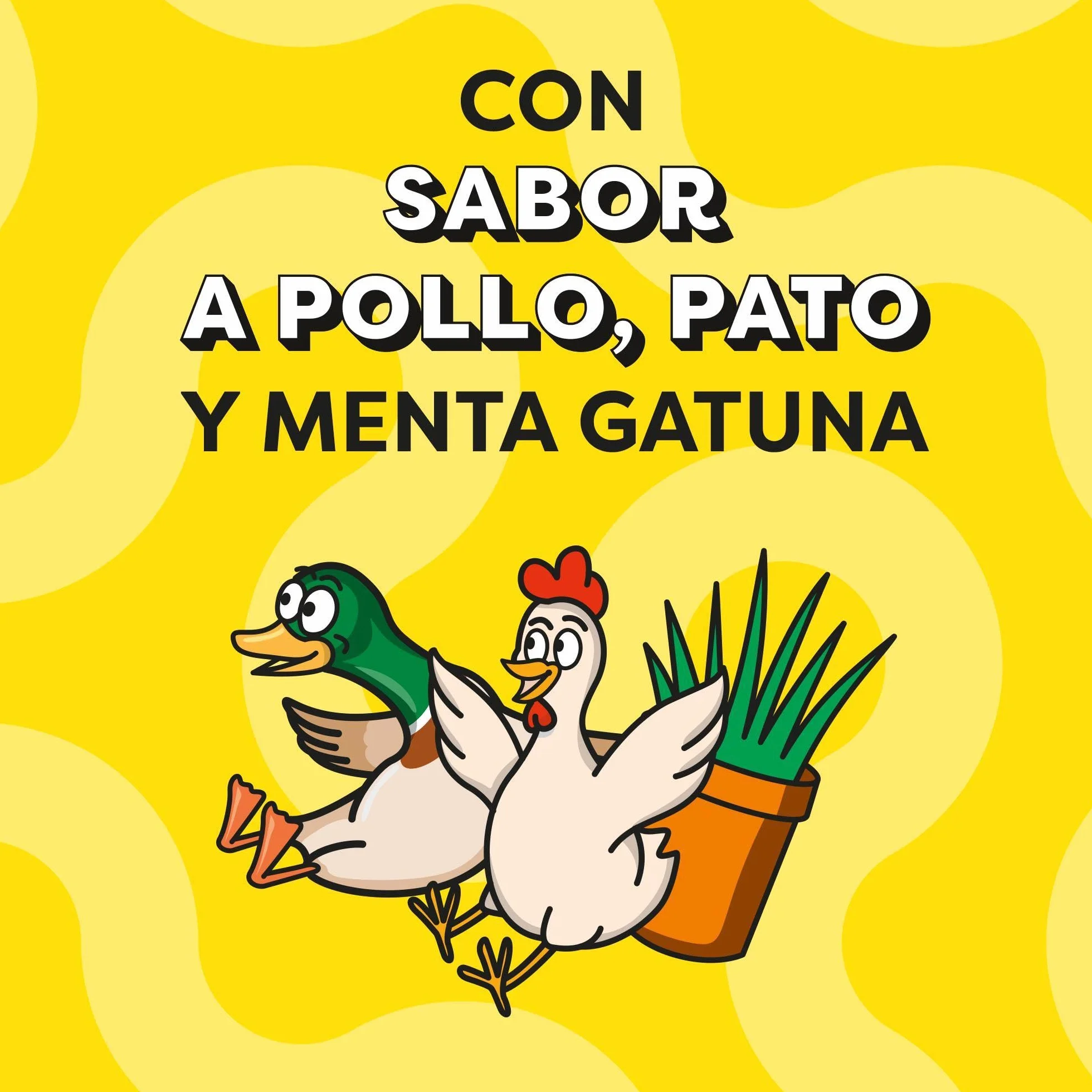 Catisfactions Premios para Gatos Sabor Aves a la Brasa 6x55g