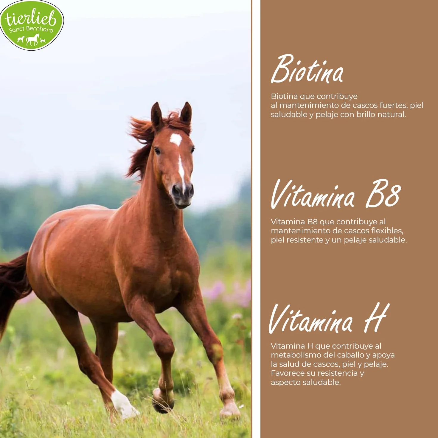 Biotina para Caballos – Pastillas para Cascos Fuertes y Flexibles, Mejora de Piel y Pelaje, Vitamina B8 para Equinos – 50 Días, Fácil Dosificación