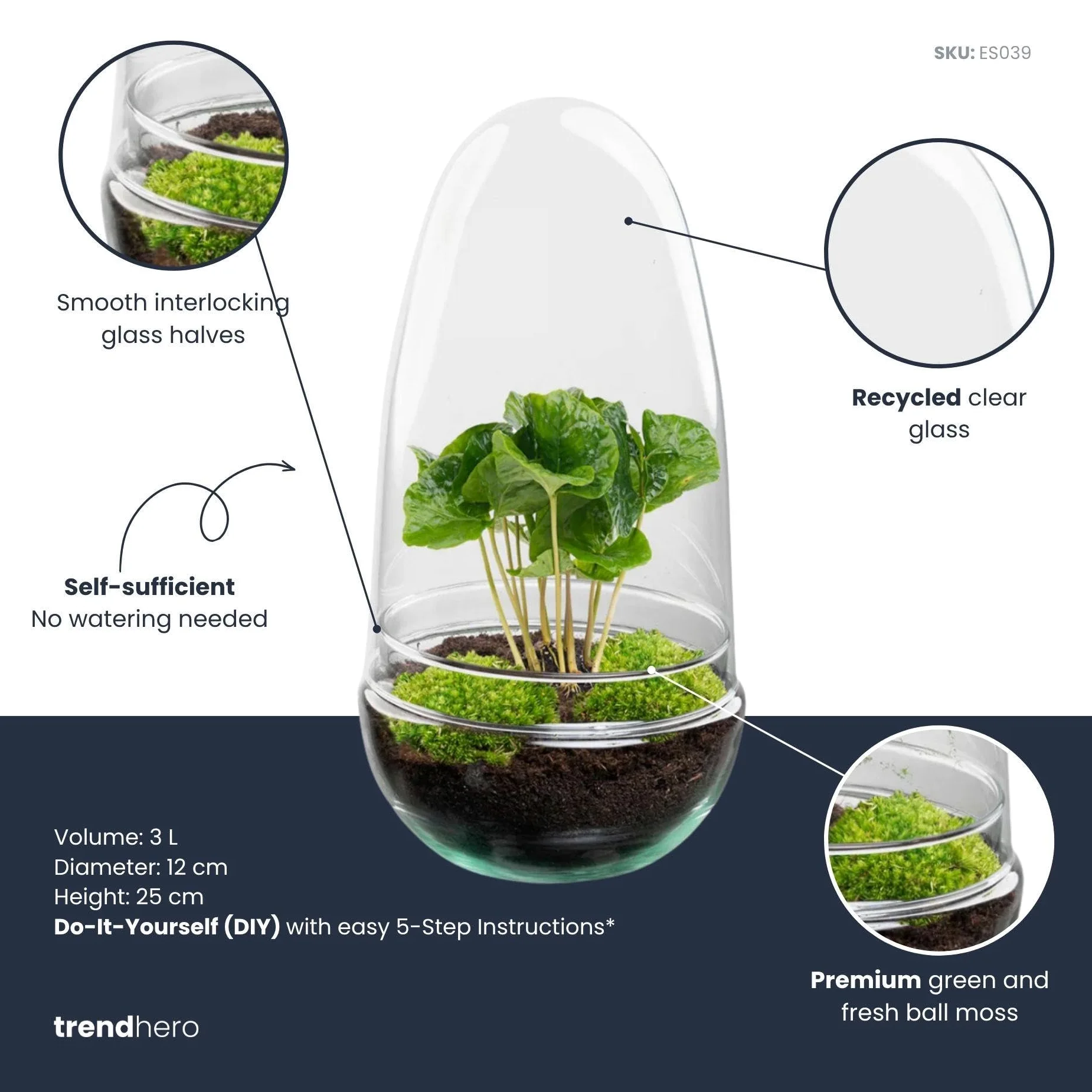 Terrario de Plantas DIY de Cristal, Decoración, Coffea Arabica, Ø 12 cm