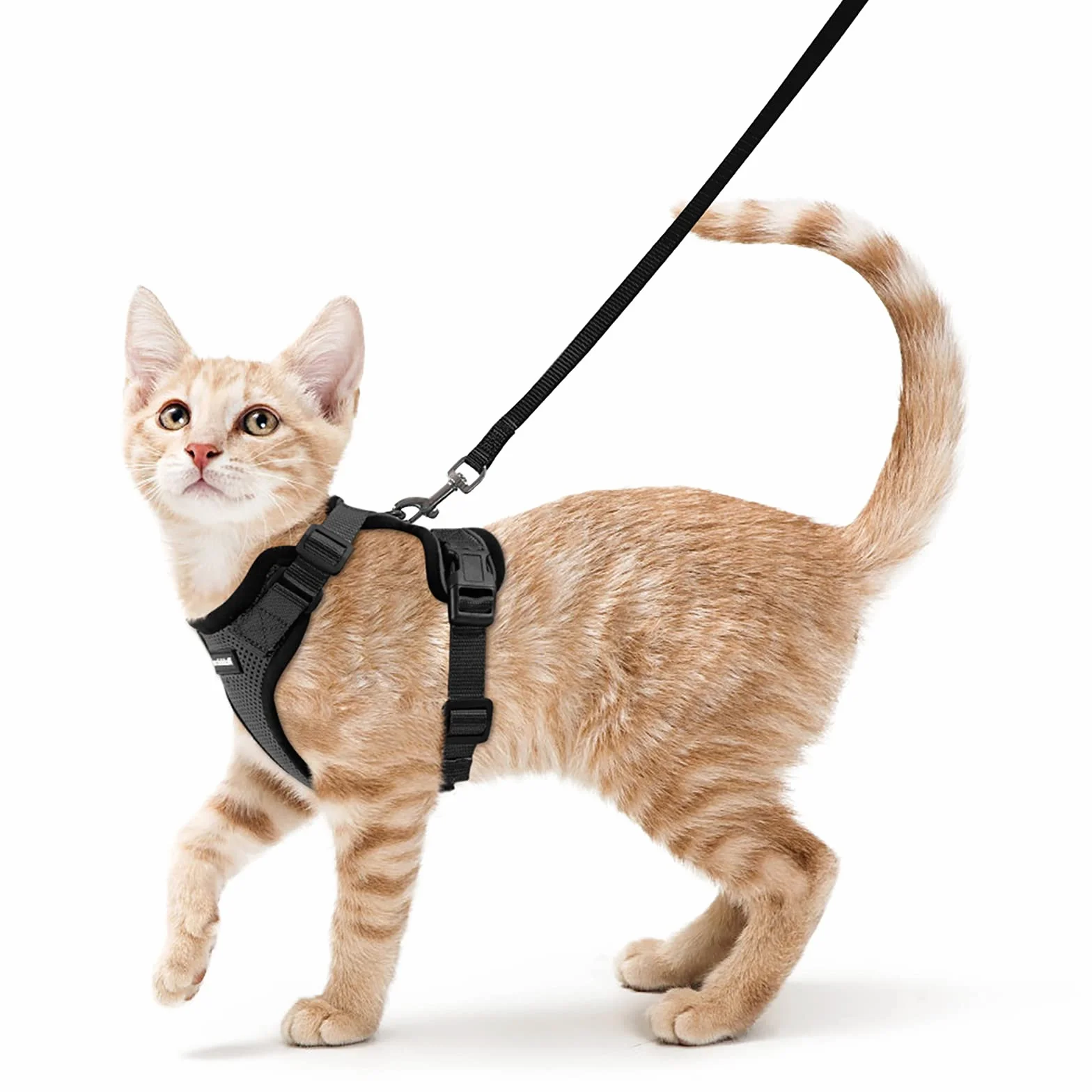 rabbitgoo Arnes para Gatos Antiescape con Correa 150cm, Arnes Gato Ajustable Reflectante, Chaleco de Tela de Malla Suave y Transpirable, Arnés Gato Pequeño para Caminar Entrenar, XS, Negro
