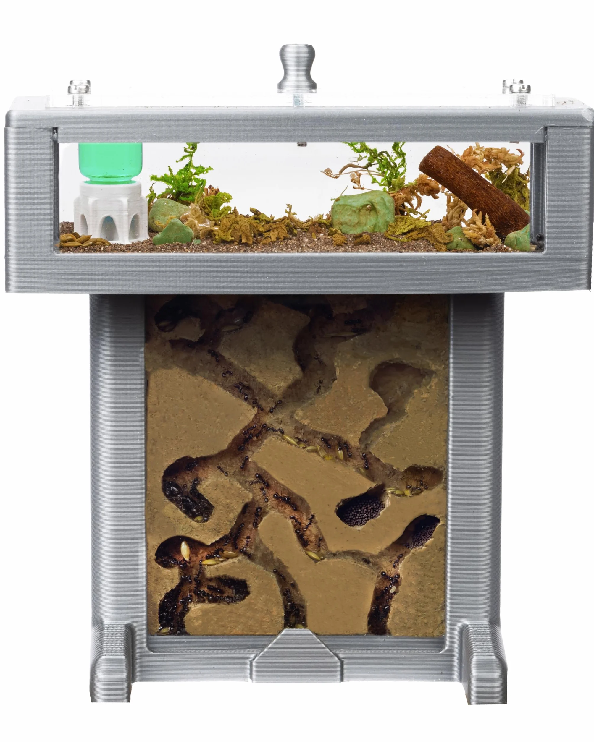 Anthouse - Hormiguero de Espuma 3D - Kit T - 14x8x14,1 cm - Granja de Hormigas - Color Gris - Hormigas Incluidas