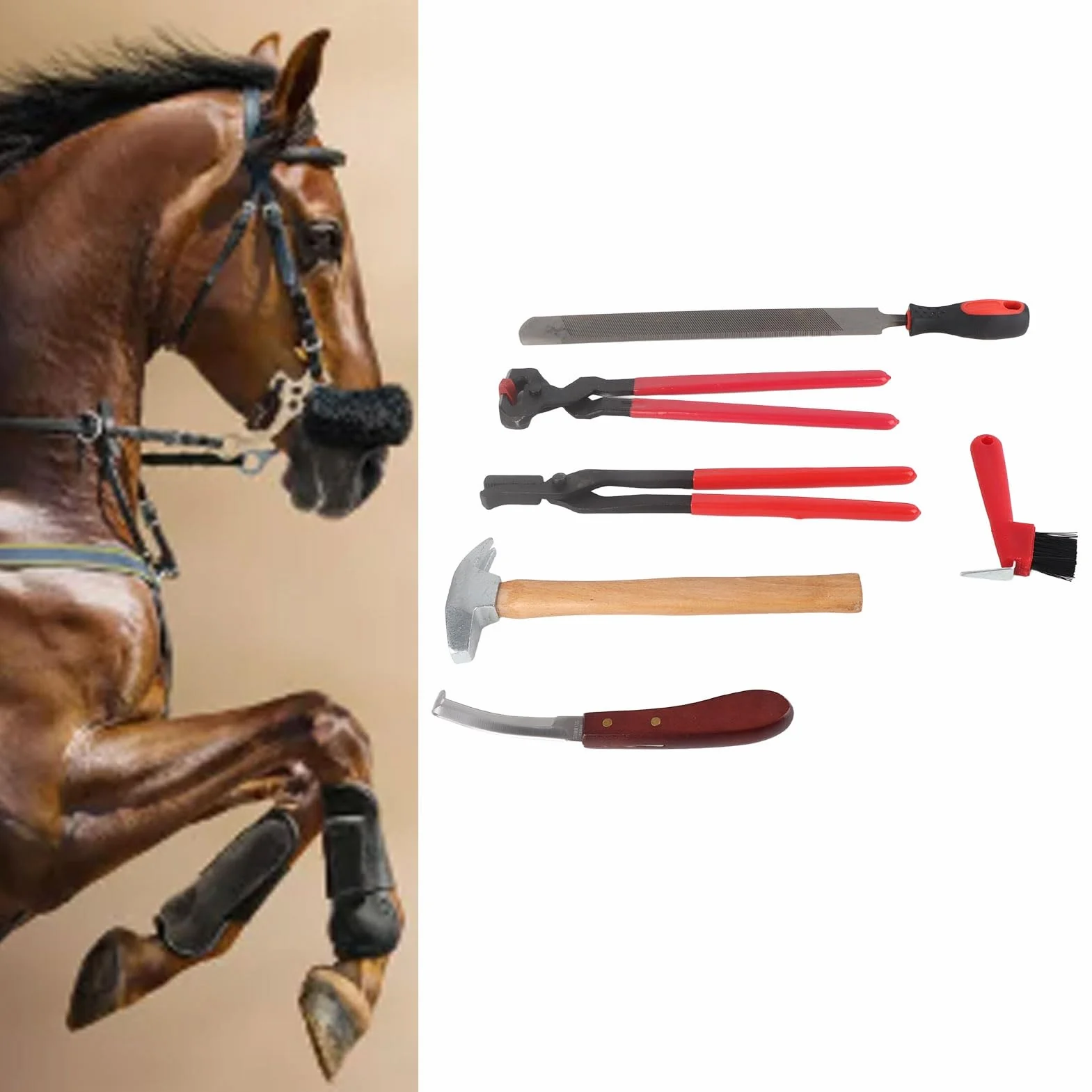 Herramientas de Herrador, Kit de Aseo de Caballos Trimmers de Pezuña de Cabra de 6 Piezas Herramienta de Adorno de Adorno de Caballo Profesional de Caballo