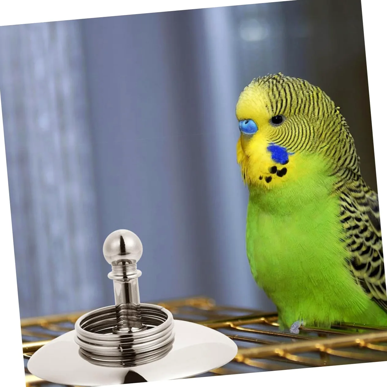 VANZACK 4juegos Juguete De Entrenamiento De Inteligencia para Aves Bicicleta y Anillo Interactivo para Periquitos y Loros para Estimulación Mental y Diversión Educativa