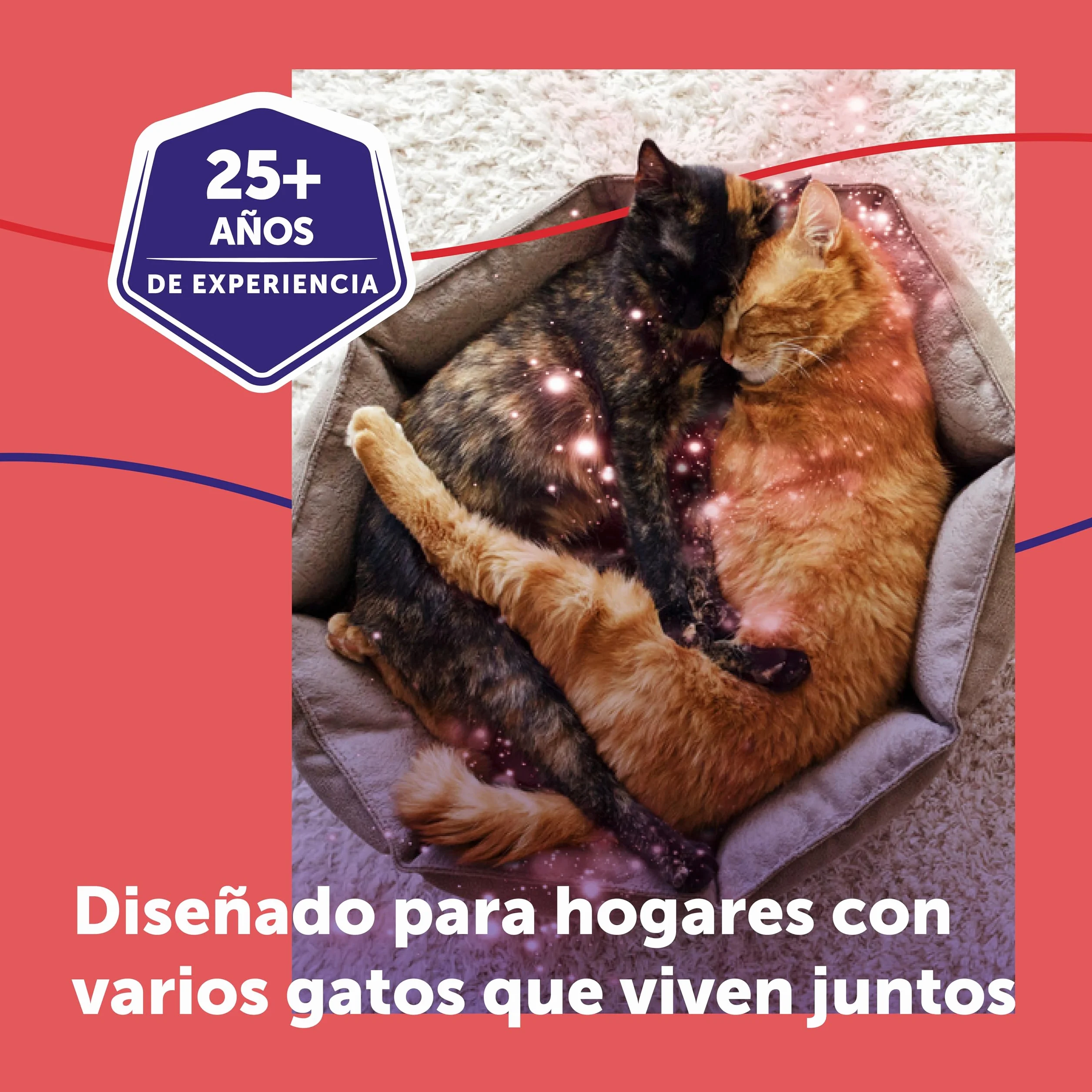 FELIWAY Friends - Pack Ahorro 3 recambios para 90 días (3x48ml) - Ayuda a crear armonía y a reducir conflictos entre gatos que viven juntos. Recomendado por veterinarios. Mejora la convivencia.