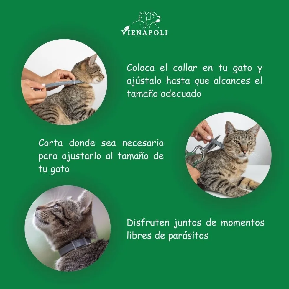 Collar antipulgas y garrapatas para Gatos, Resistente al Aqua, protección Activa de hasta 8 Meses, 33 centimetros, para qualquier tamaño de Gato