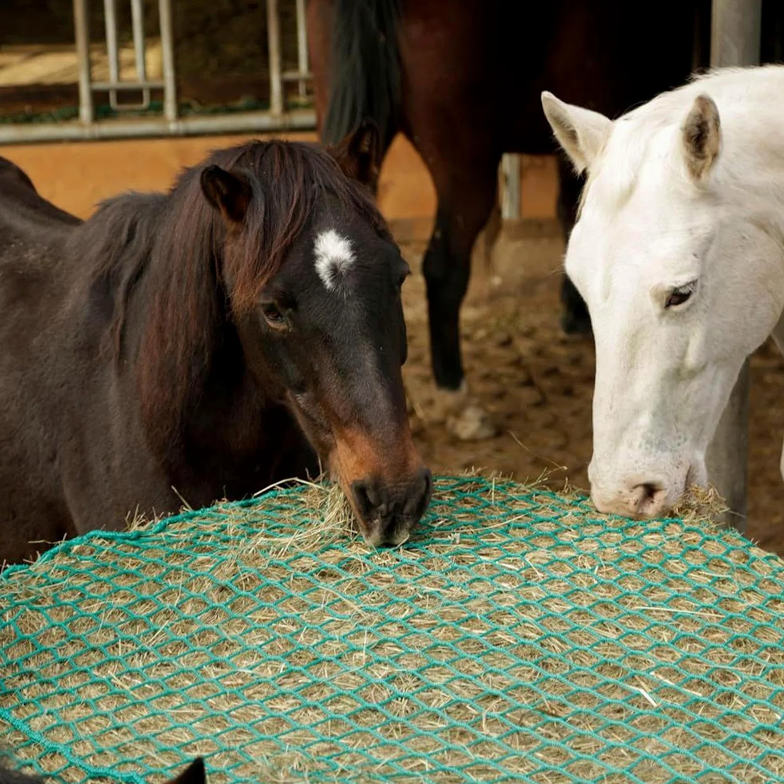 Red de Heno para Caballos Organizador De Alimento Para Caballos | Bolsa Malla Alimento Ovejas Para Pesebres, Paddocks, Veterinarios, Establos, Escuelas Ecuestres Y