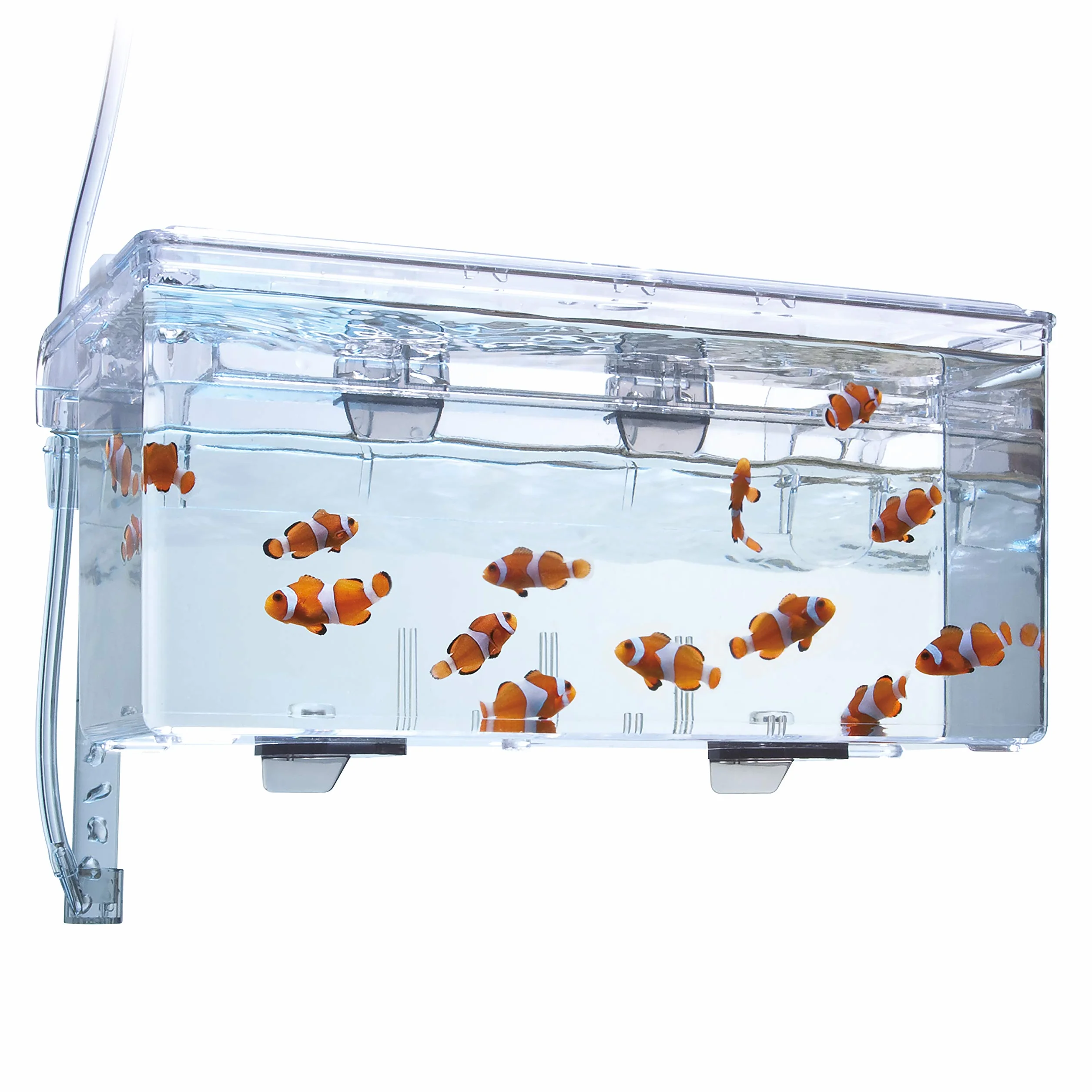 Fluval, Caja de Cría, 1,9 L