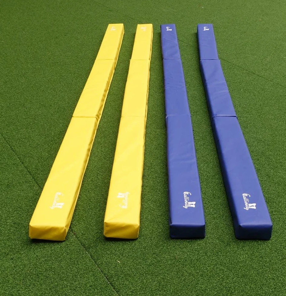 Runway - Callieway Soft Ground Work Lanes (4-Pack) with Foam Filling, Incl. Transport Bag, for Horse and Dog Training.