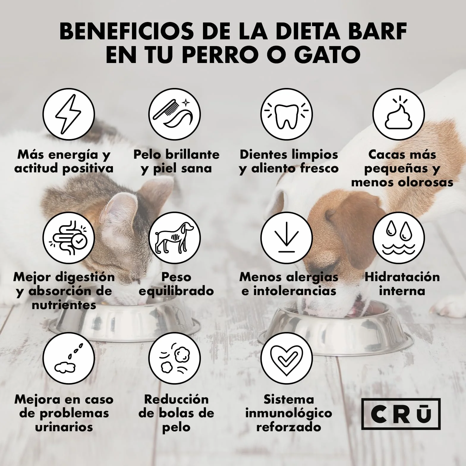 CRU - Comida para Gatos Cruda y Natural de Pavo - Dieta Barf para Gatos Junior y Adultos - Comida Congelada para 1 Mes - 10 Paquetes de 500g. (10 Paquetes, Pavo)