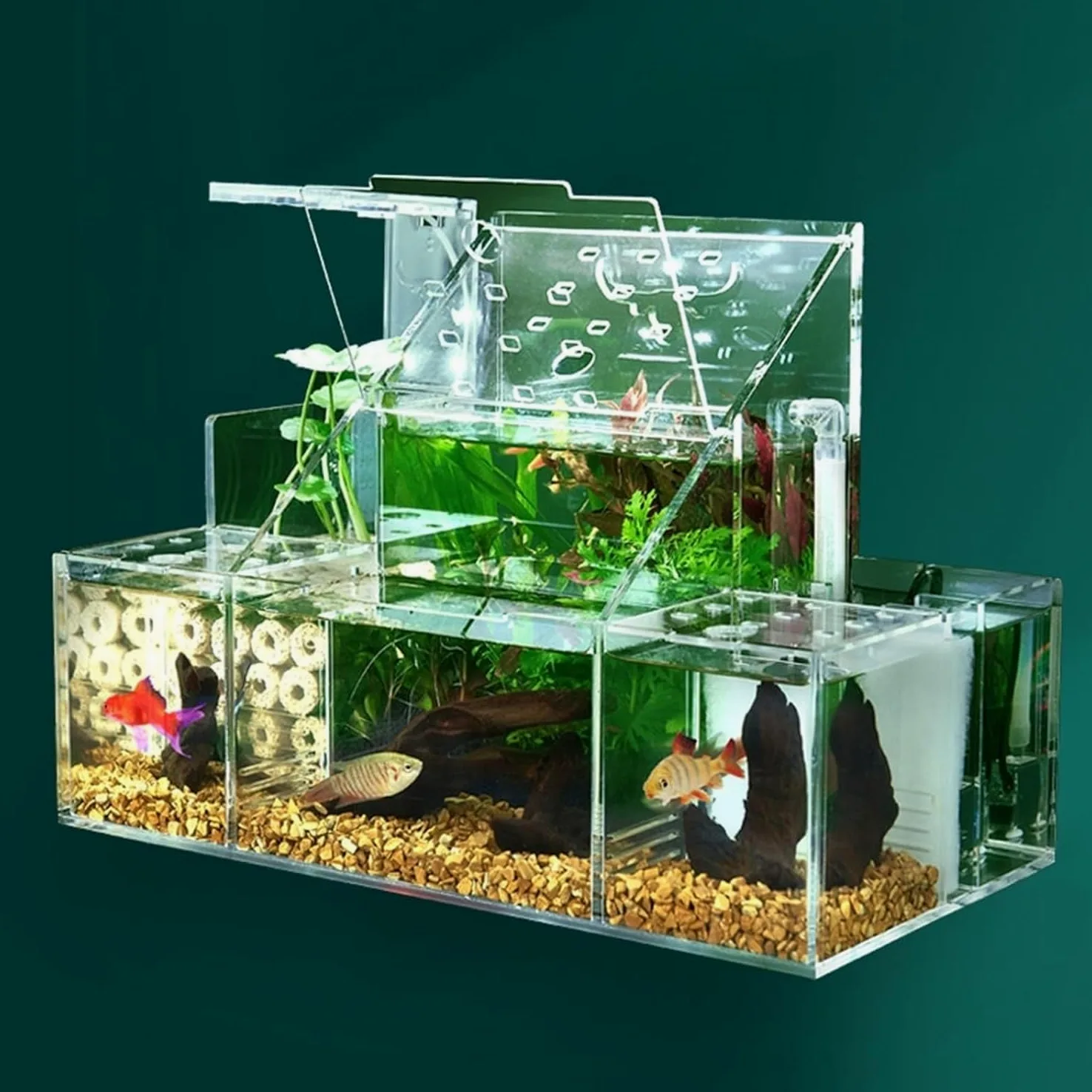 Castillo de hormigas de acrílico Caja de aislamiento especial for incubación de acuicultura de escritorio, bomba de filtro de agua circulante, decoración for pecera de oficina en casa, pecera for pece