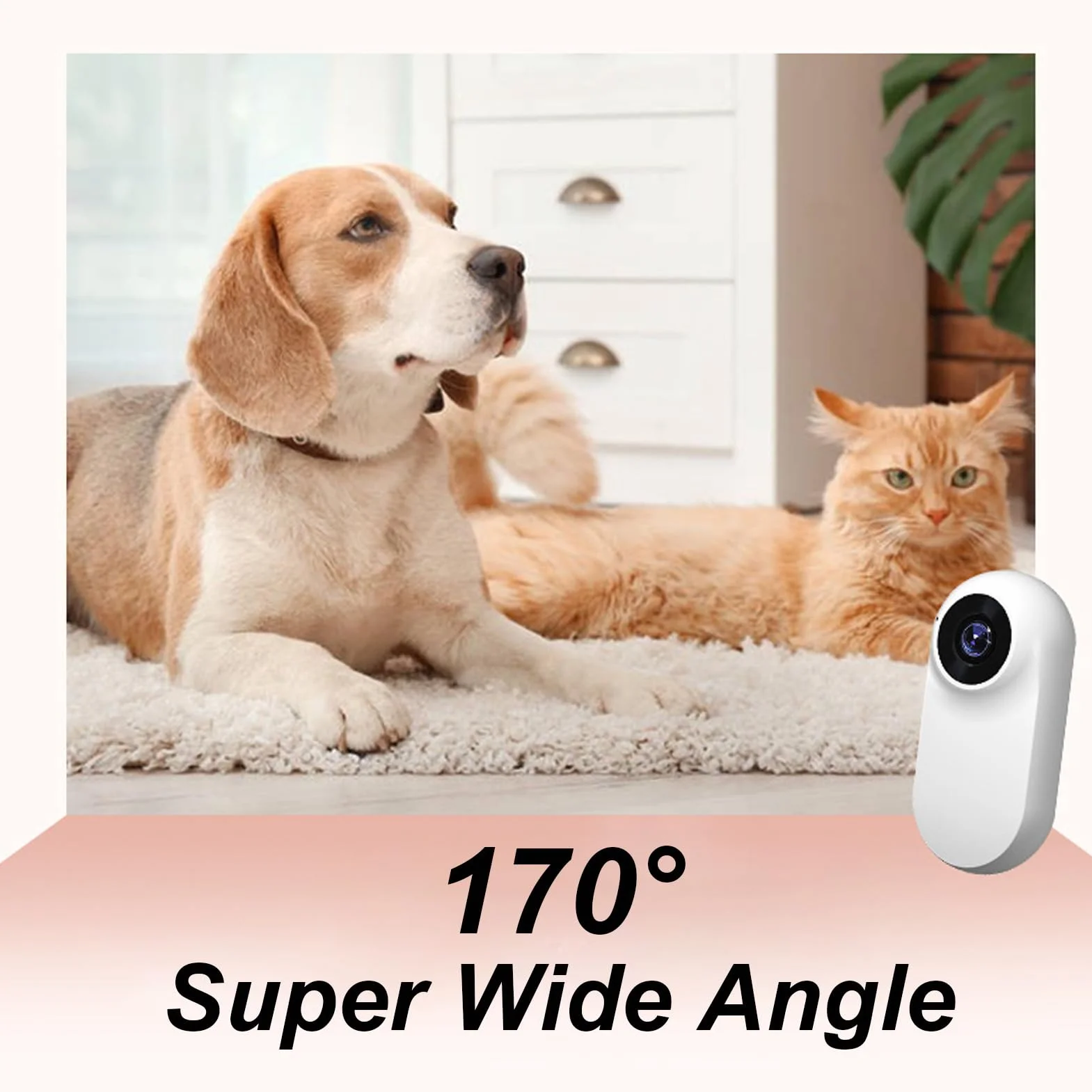 Denash Cámara para Collar para Mascotas, Pantalla LCD Recargable USB Gran Angular 1080P 170°, Cámara de Movimiento para Perros Gatos con 2-3 Horas de Tiempo de Trabajo, para Ciclismo de