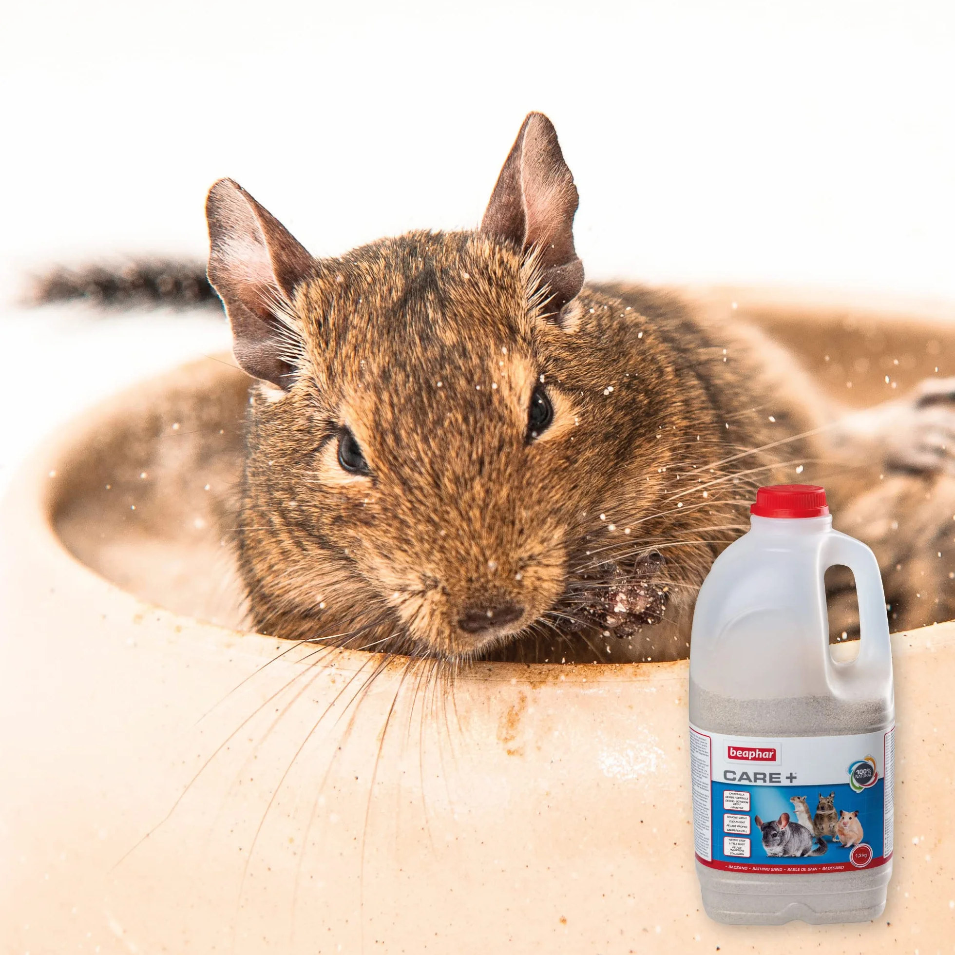 Beaphar - Care+ Arena de Baño para Chinchillas y Roedores - Absorbe la Grasa y Humedad del Pelaje - 1,3kg