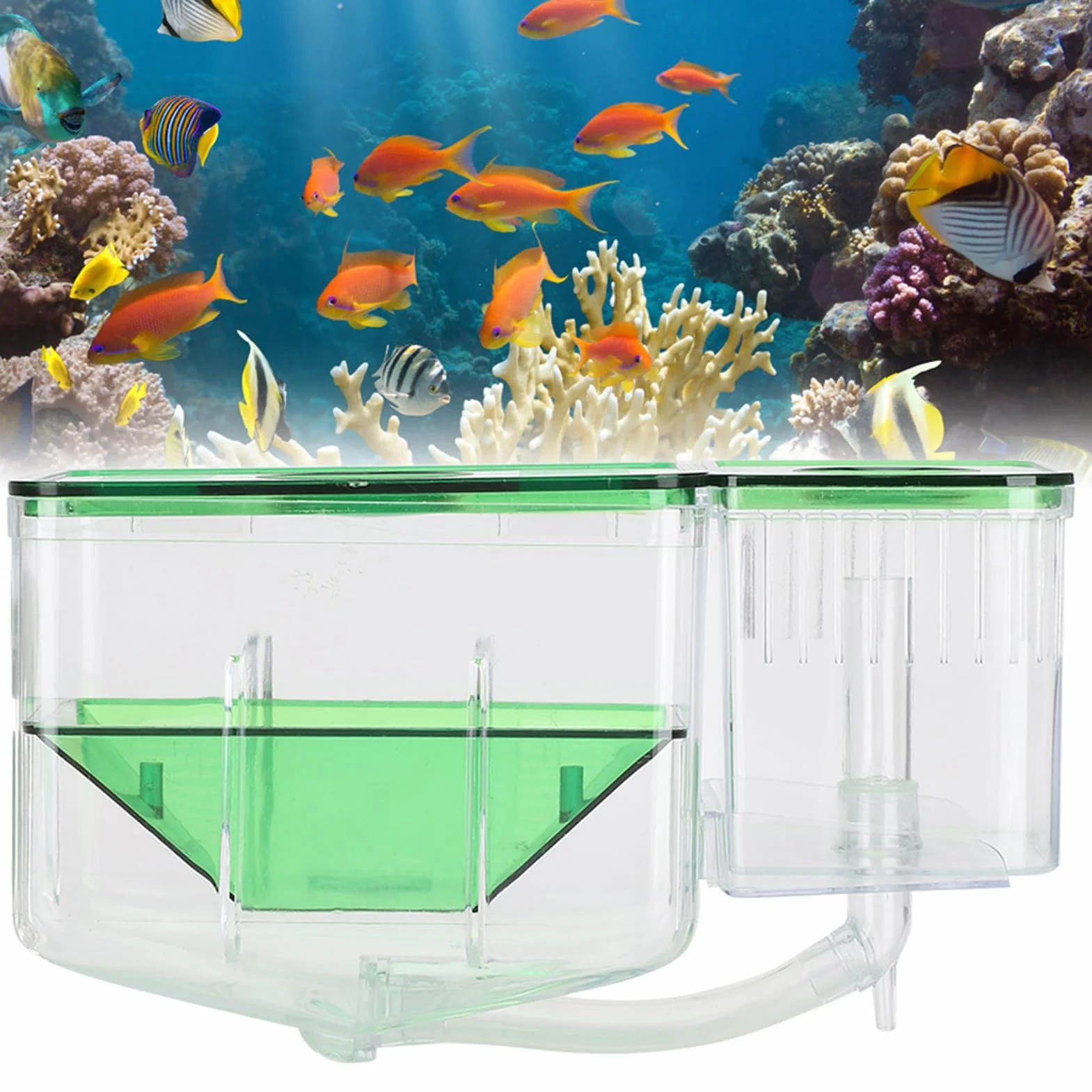 ZJchao Incubadora de Acuario, Caja de Cría para Peces Pequeños con Aislamiento de Doble Capa, Evita Ataques de Peces Adultos para Peces Heridos, Camarones, Peces Payaso, Criadores de