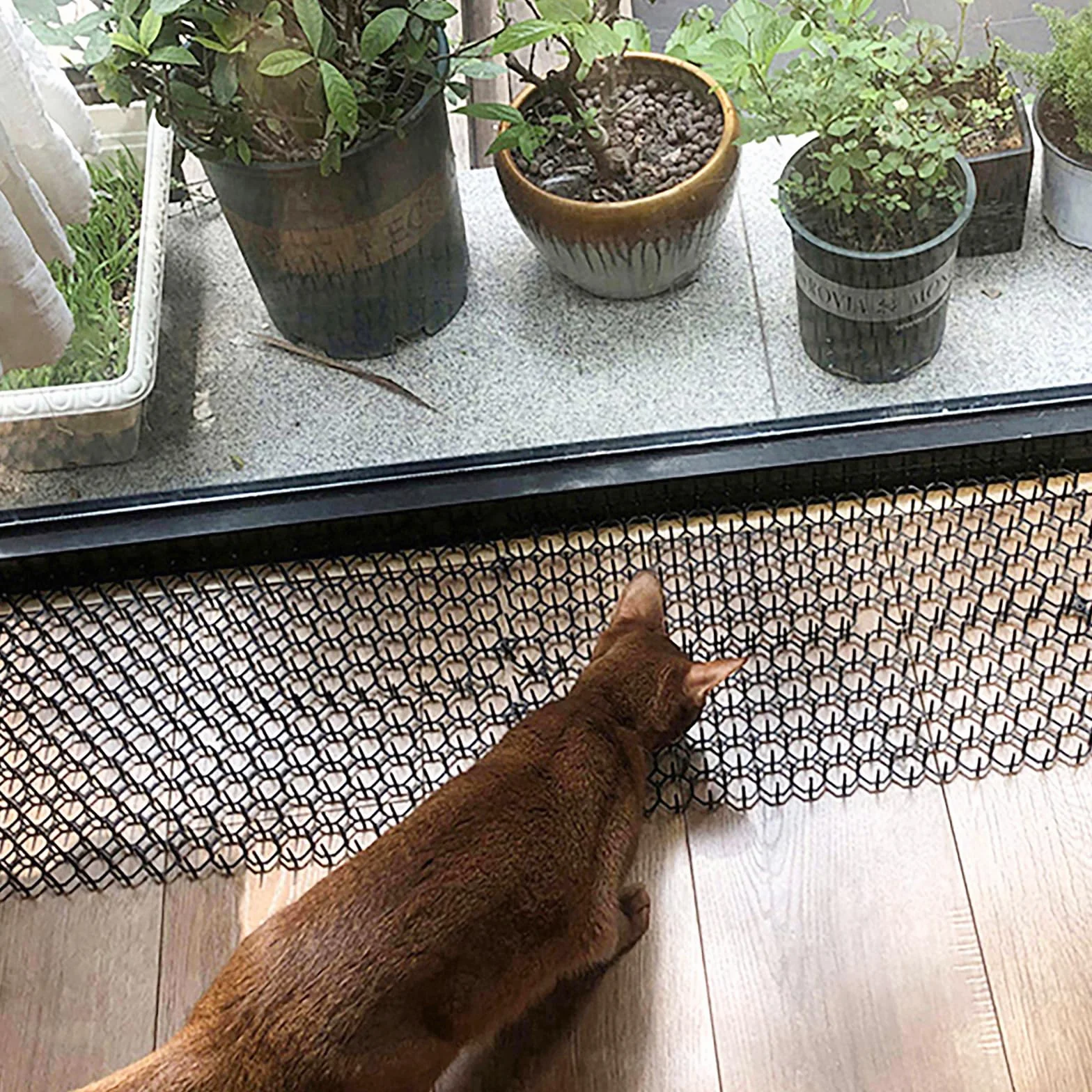 Tapete para Gatos de 8.5 x 6.5 Pulgadas con 12 Grapas de jardín y 12 Lazos, Paquete de 24 Alfombrillas disuasorias para Gatos para Valla de jardín y Barrera de Animales