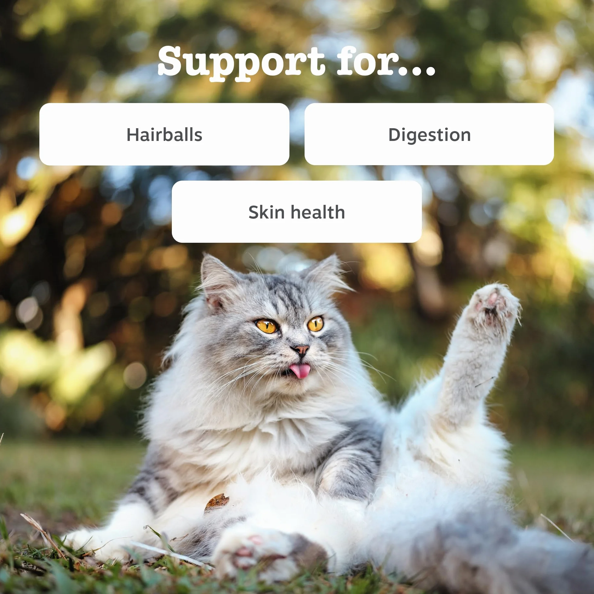 Zesty Paws Pasta anti-bolas de pelo para gatos | Minimiza las bolas de pelo | Digestión | Salud de la piel y el pelaje | Aceite de pescado | OmegaVie | Cáscaras de psyllium | Inulina | Extracto de