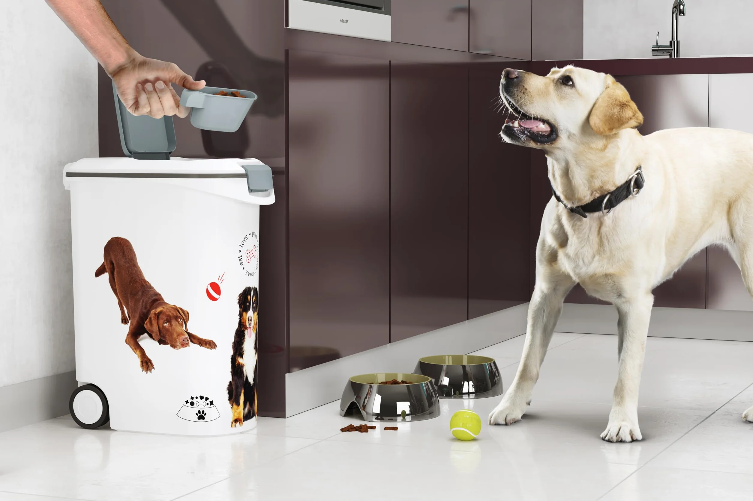 Curver Contenedor de comida,pienso para mascotas con Ruedas 20 Kg/ 54 L, Sellado de goma antiolores, Decorado perros, 28 x 50 x 61 cm