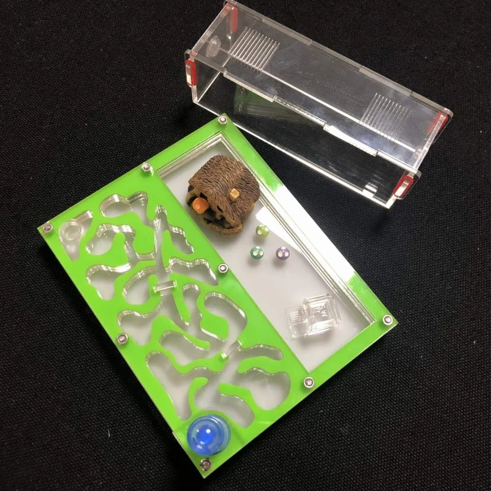 Formicarium Educativo para Granja de Hormigas para Tubo de ensayo de Hormigas en Vivo Humedad Gran Espacio Nido de Hormigas de acrílico, Hormigas Insectos (Azul Cielo)