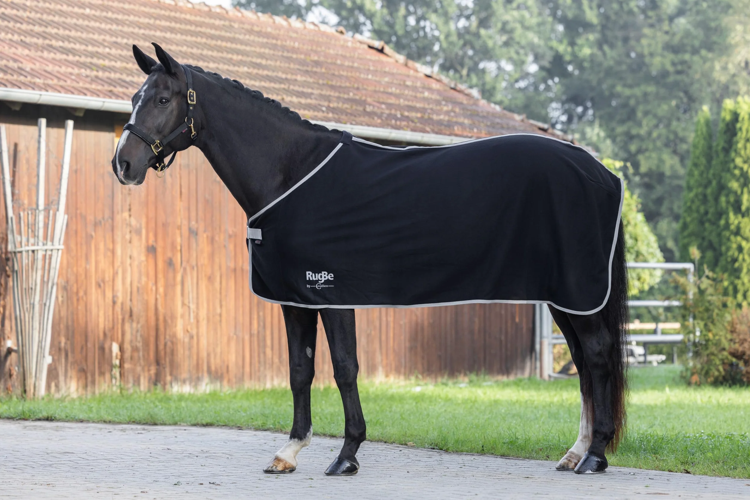 Covalliero Manta Polar RugBe Economic Negro, 115 cm