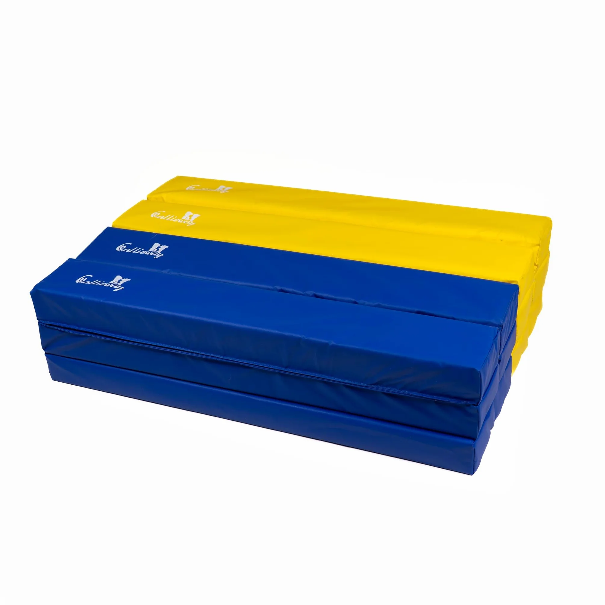 Runway - Callieway Soft Ground Work Lanes (4-Pack) with Foam Filling, Incl. Transport Bag, for Horse and Dog Training.