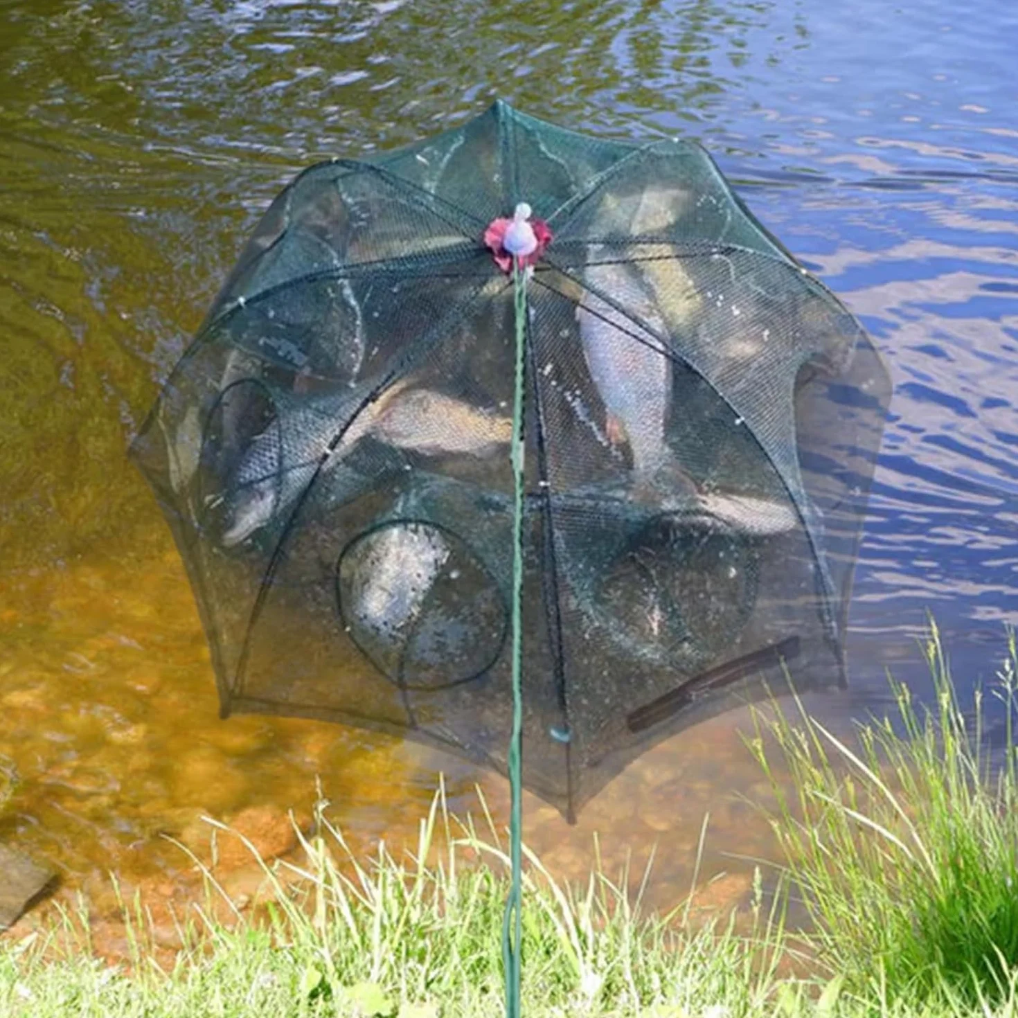Red de Pesca Plegable Cremallera 6 Agujeros Automática Nailon Trampa Peces Cangrejo