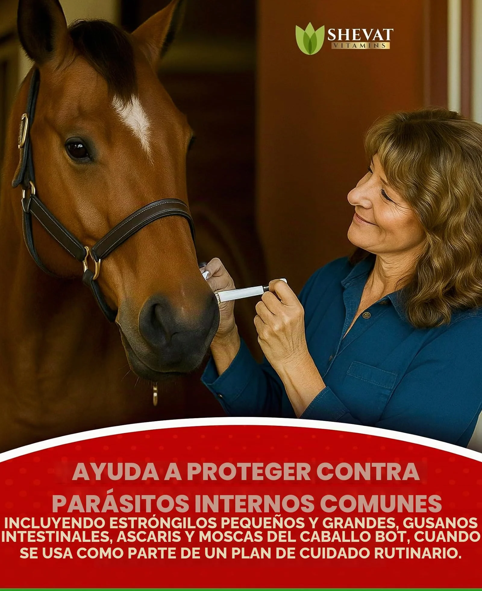 Ivermectin Horse Paste 1.87% Apple Flavor 6.08 g Tube for Horses up to 1200 lbs